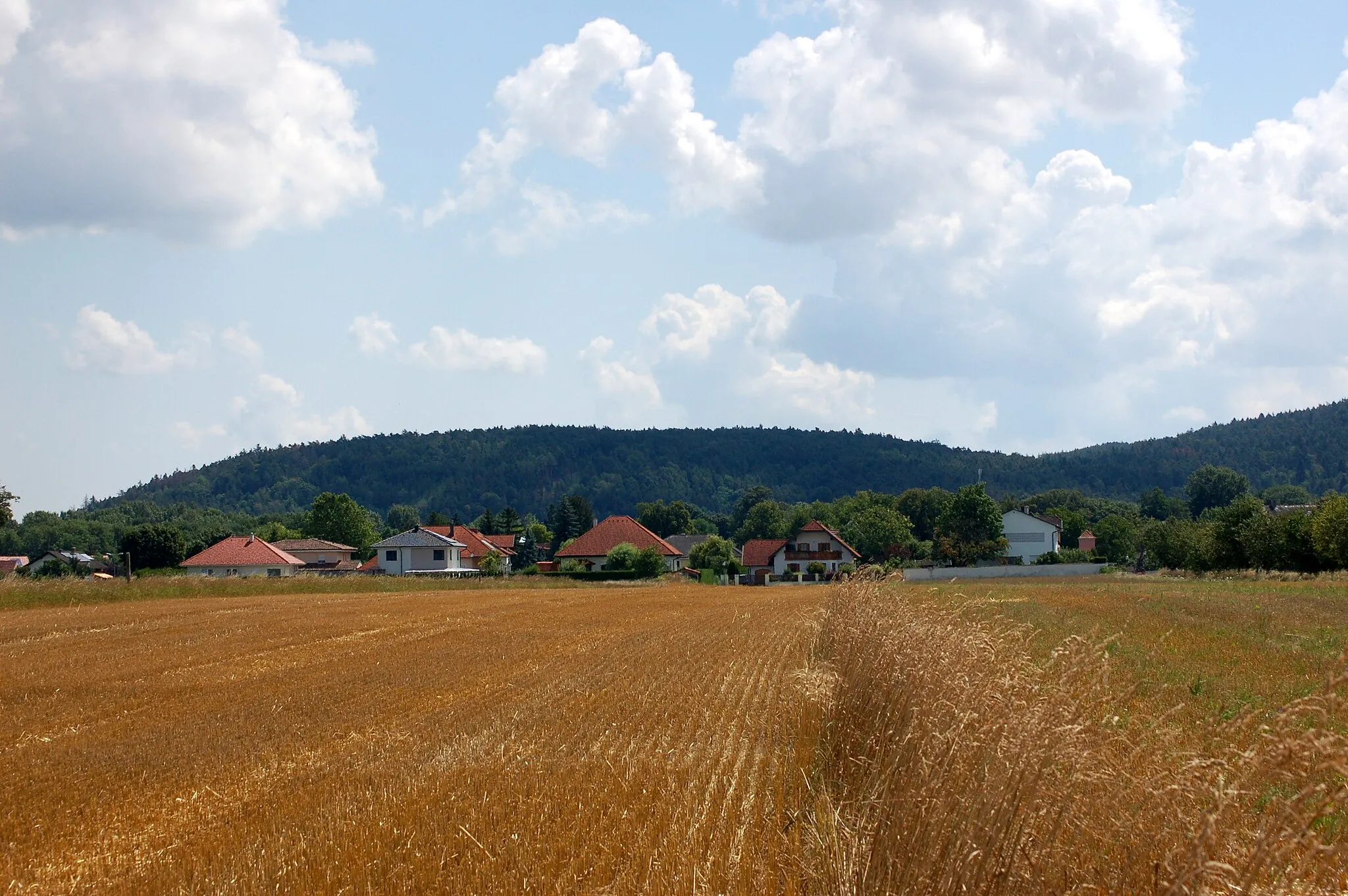 Photo showing: Scheiben, located east of Katzelsdorf in Lower Austria, is the northernmost height of Rosalia Ridge