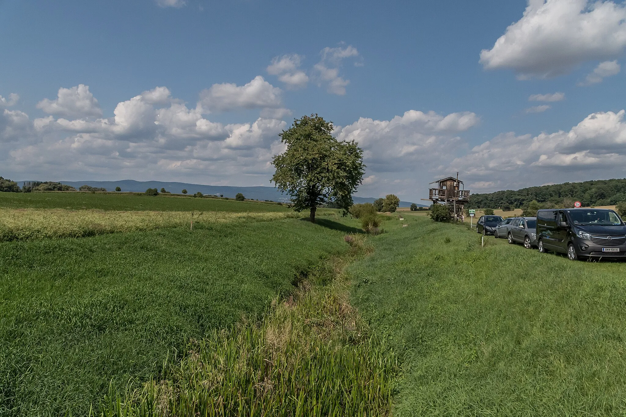 Photo showing: Erlbach am Campingplatz und Badesee Burg