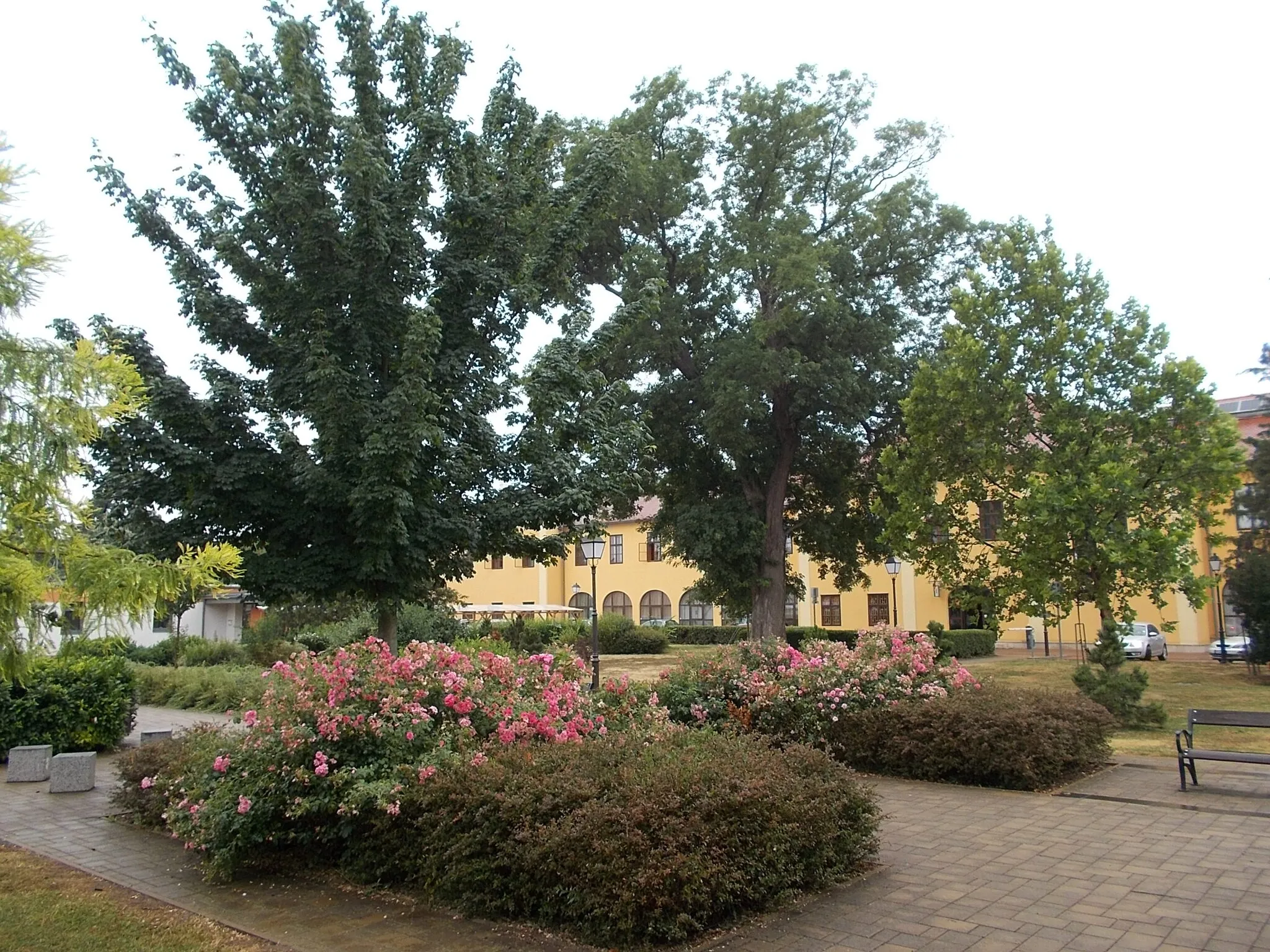 Photo showing: : Esterházy park?. Public park behind Esterházy mansion/Town Hall. - Downtown, Kapuvár, Győr-Moson-Sopron County, Hungary.