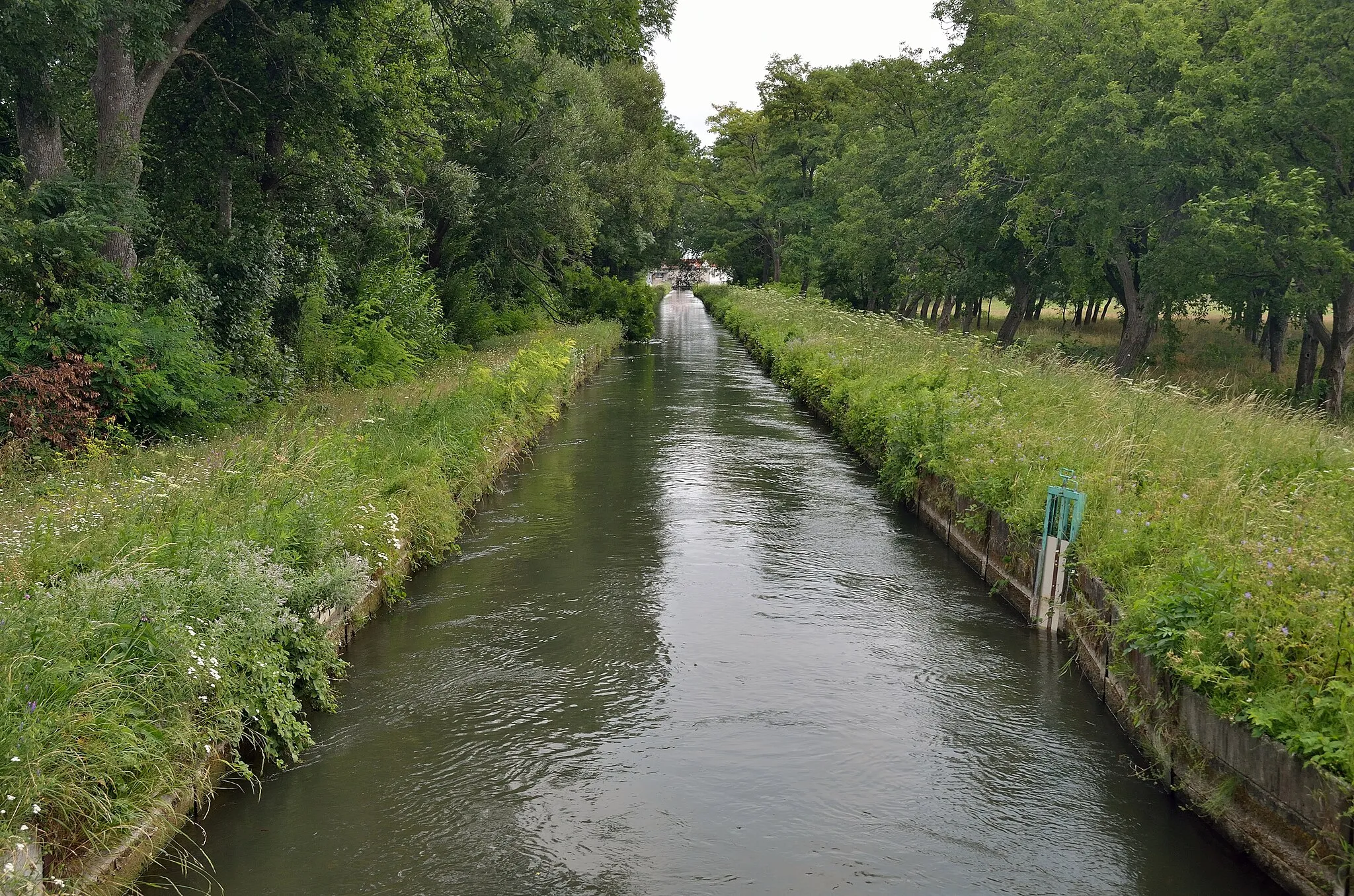 Photo showing: Blick von der Brücke 90 am Radweg südlich von Wr. Neustadt über den Kehrbach nach Osten.