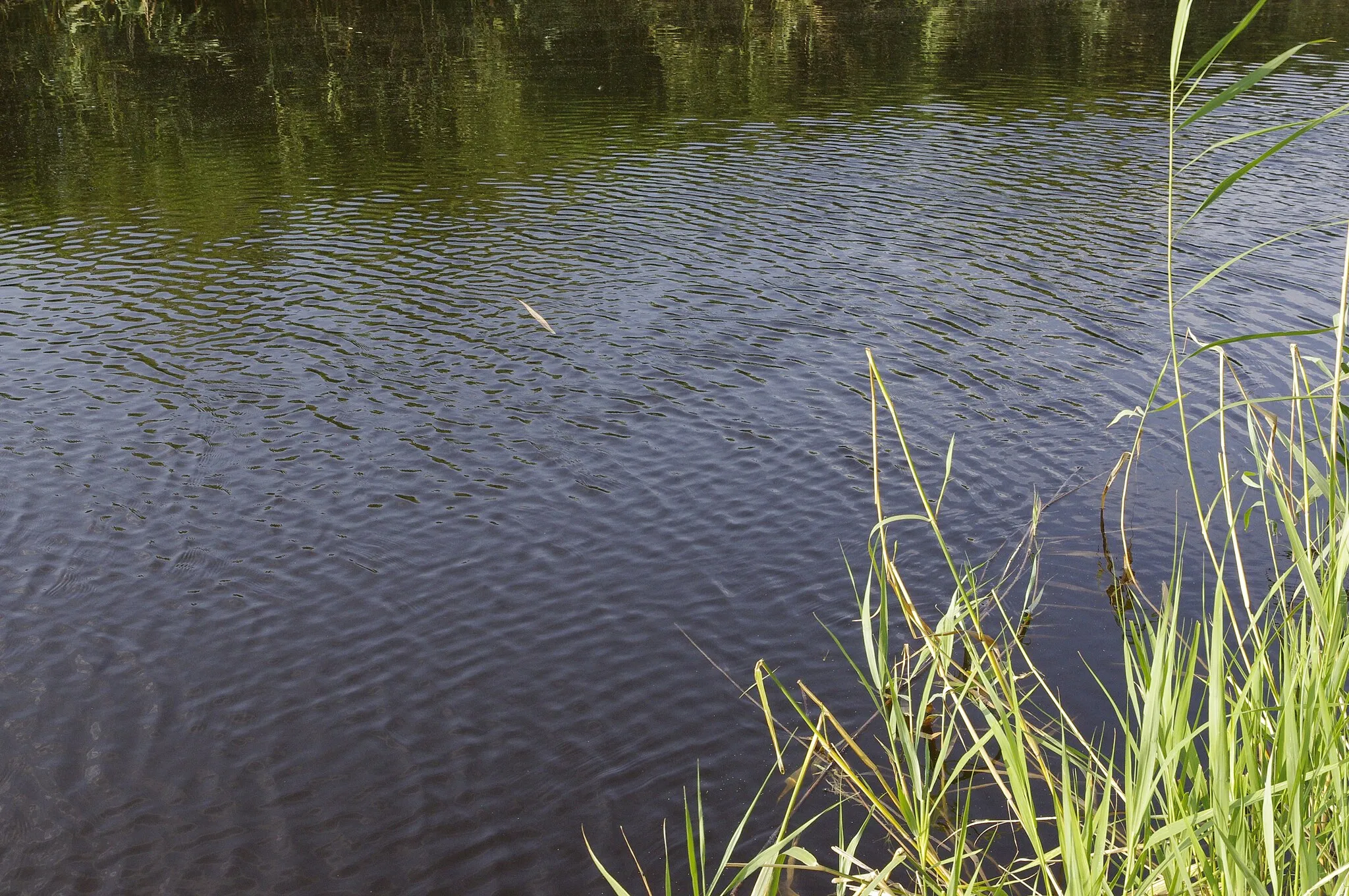 Photo showing: Fertő-Hanság main canal