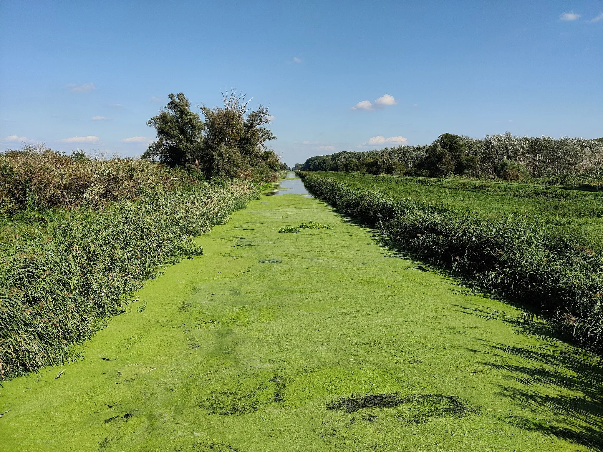 Photo showing: Blick von der Brücke von Andau auf den Einser-Kanal.