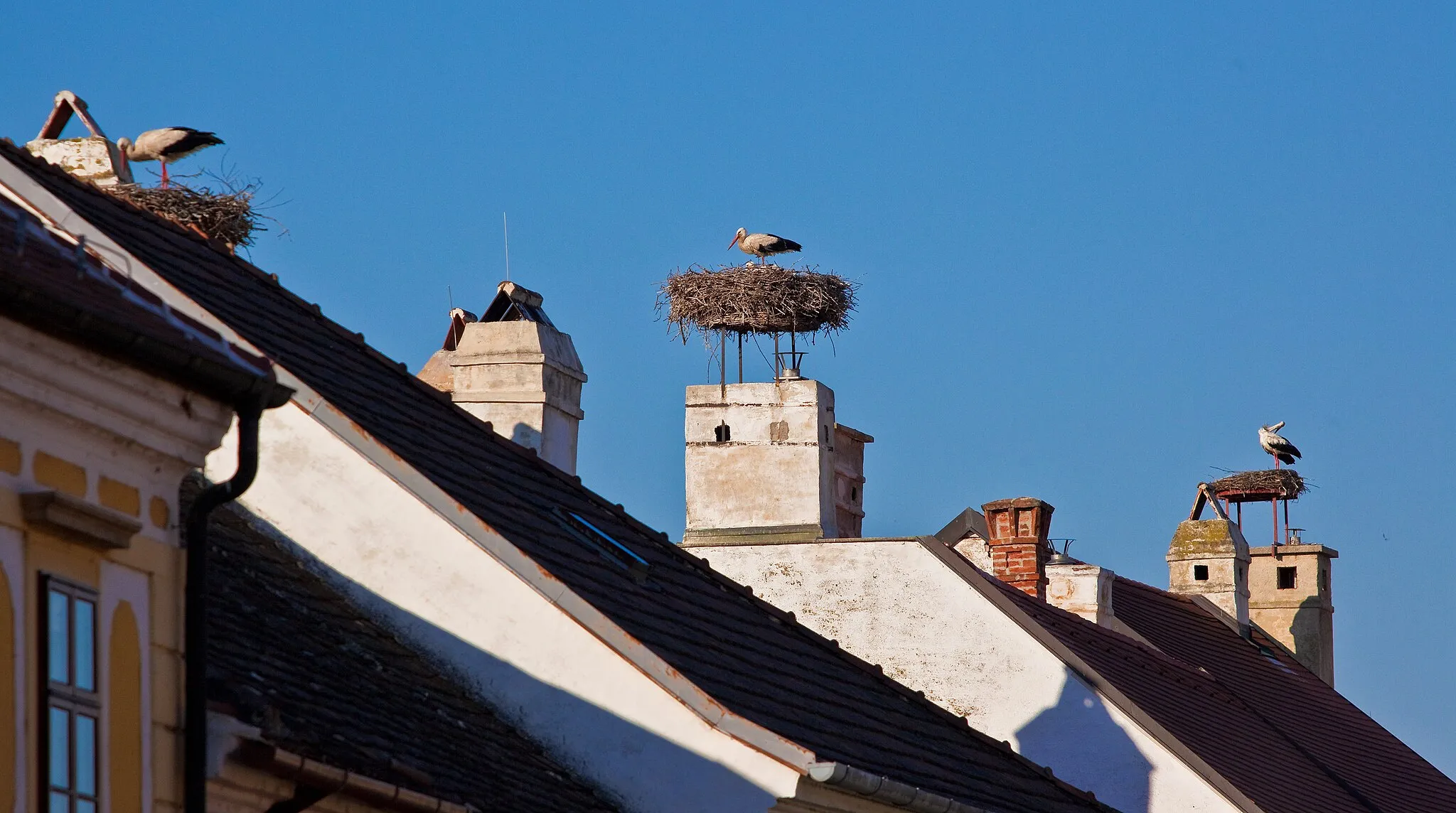 Photo showing: Rust Burgenland