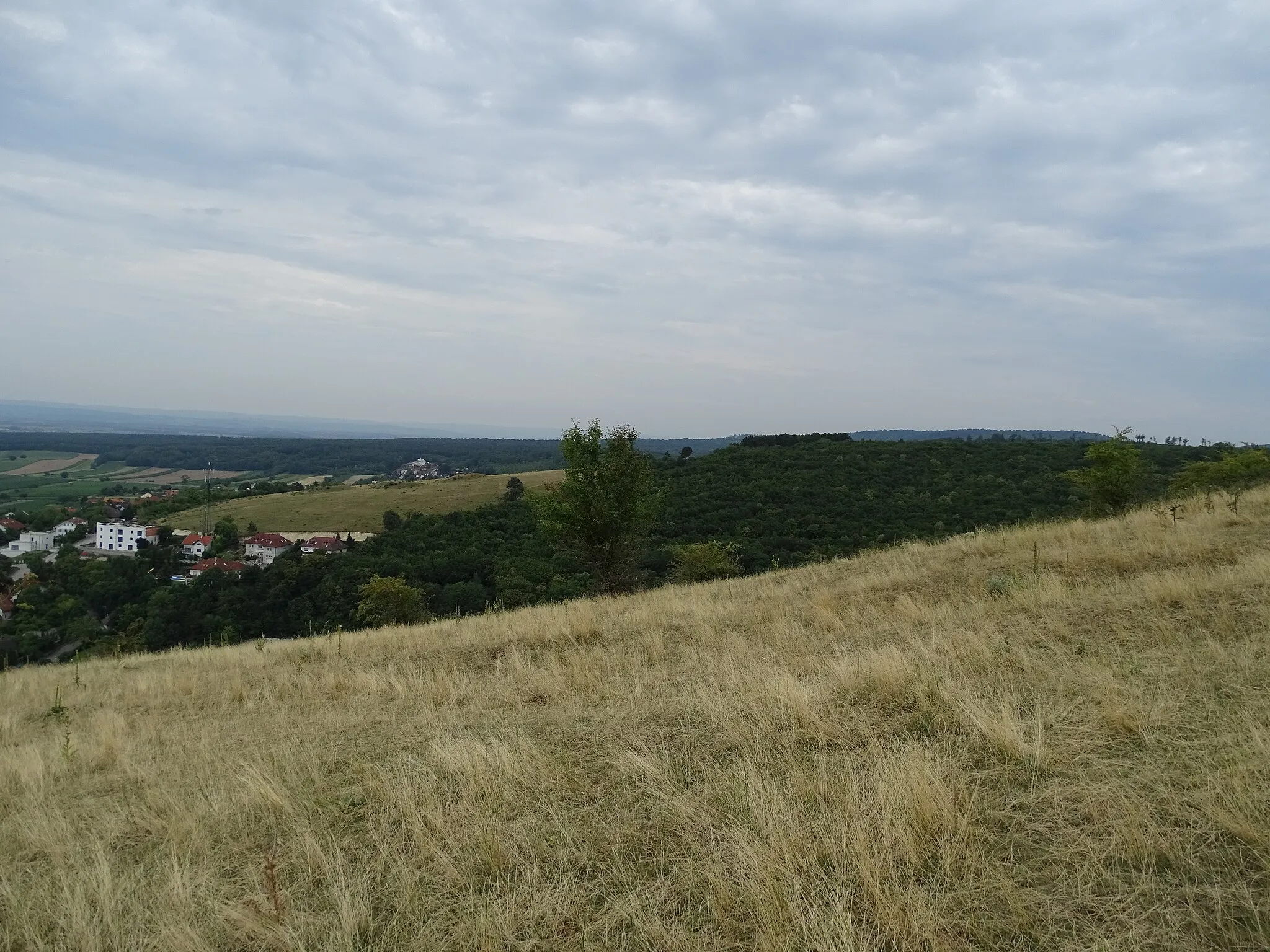 Photo showing: Blick vom Kirchberg bei Donnerskirchen auf den Martinsberg, auch Mahdberg genannt. Links kann man die Hügelgräber von Donnerskirchen erkennen.