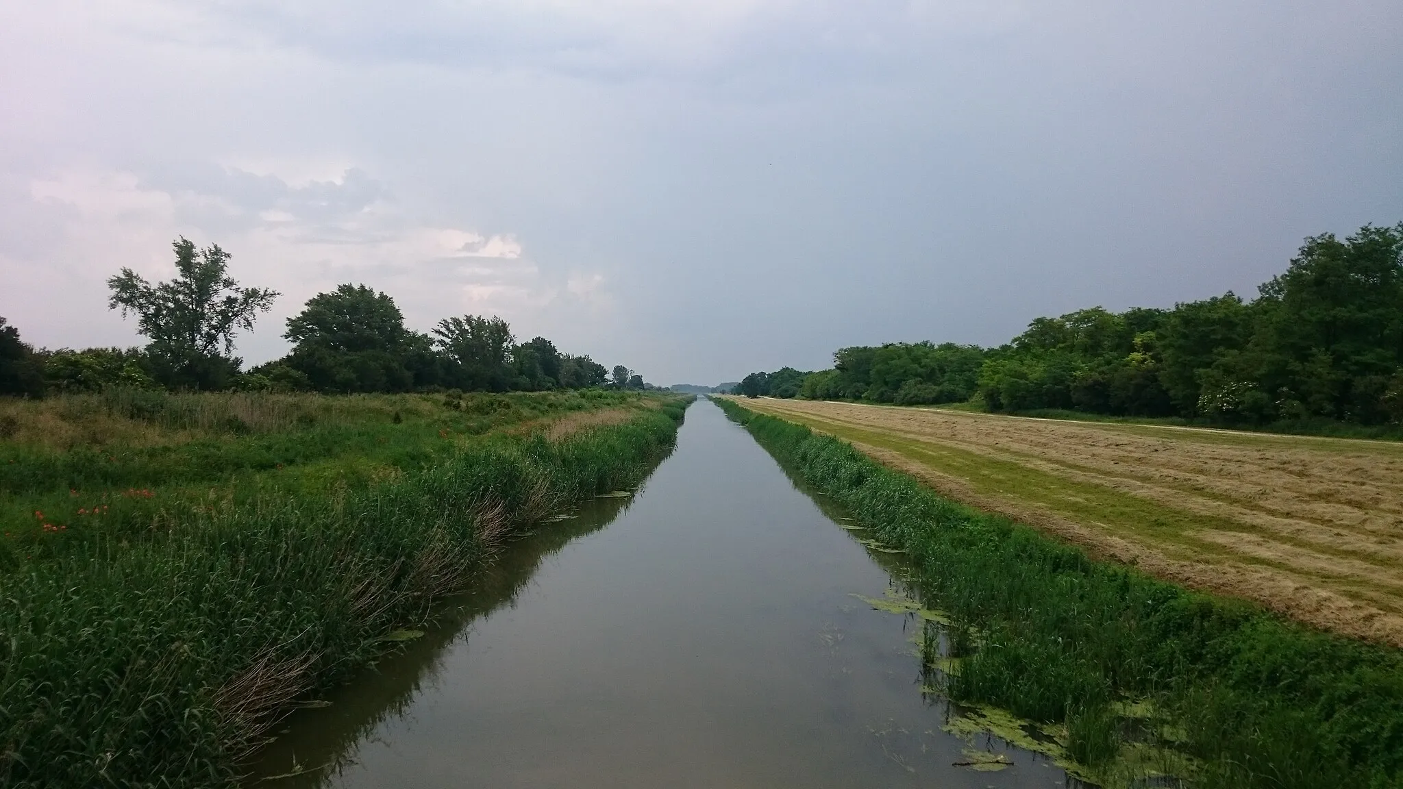 Photo showing: Der Einser-Kanal in Ungarn, unweit der Landesgrenze zu Wallern, Burgenland. Blick Richtung Osten.