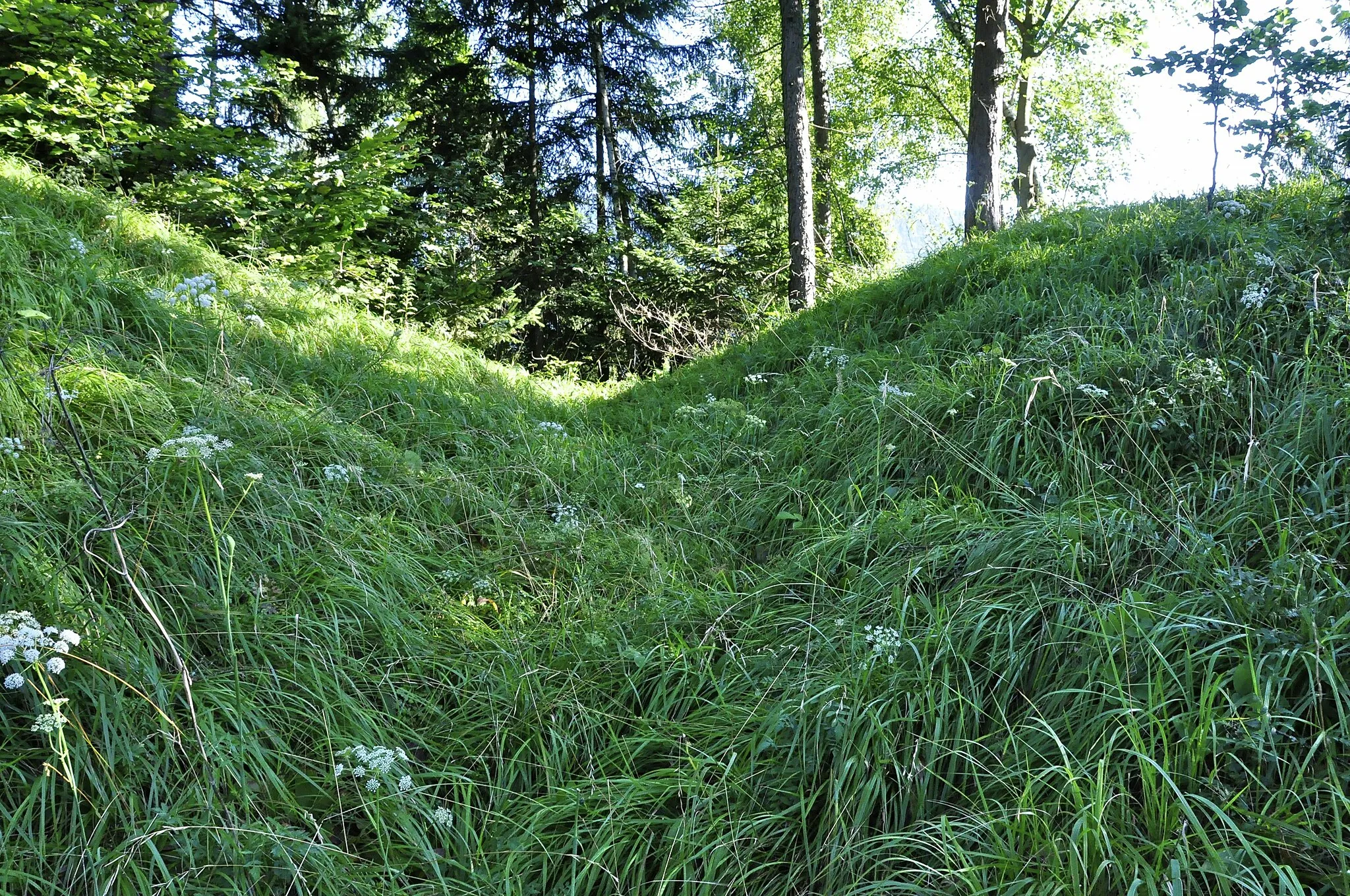 Photo showing: Fortification complex Thurnberg at Riegersdorf, municipality Arnoldstein, district Villach Land, Carinthia / Austria / EU