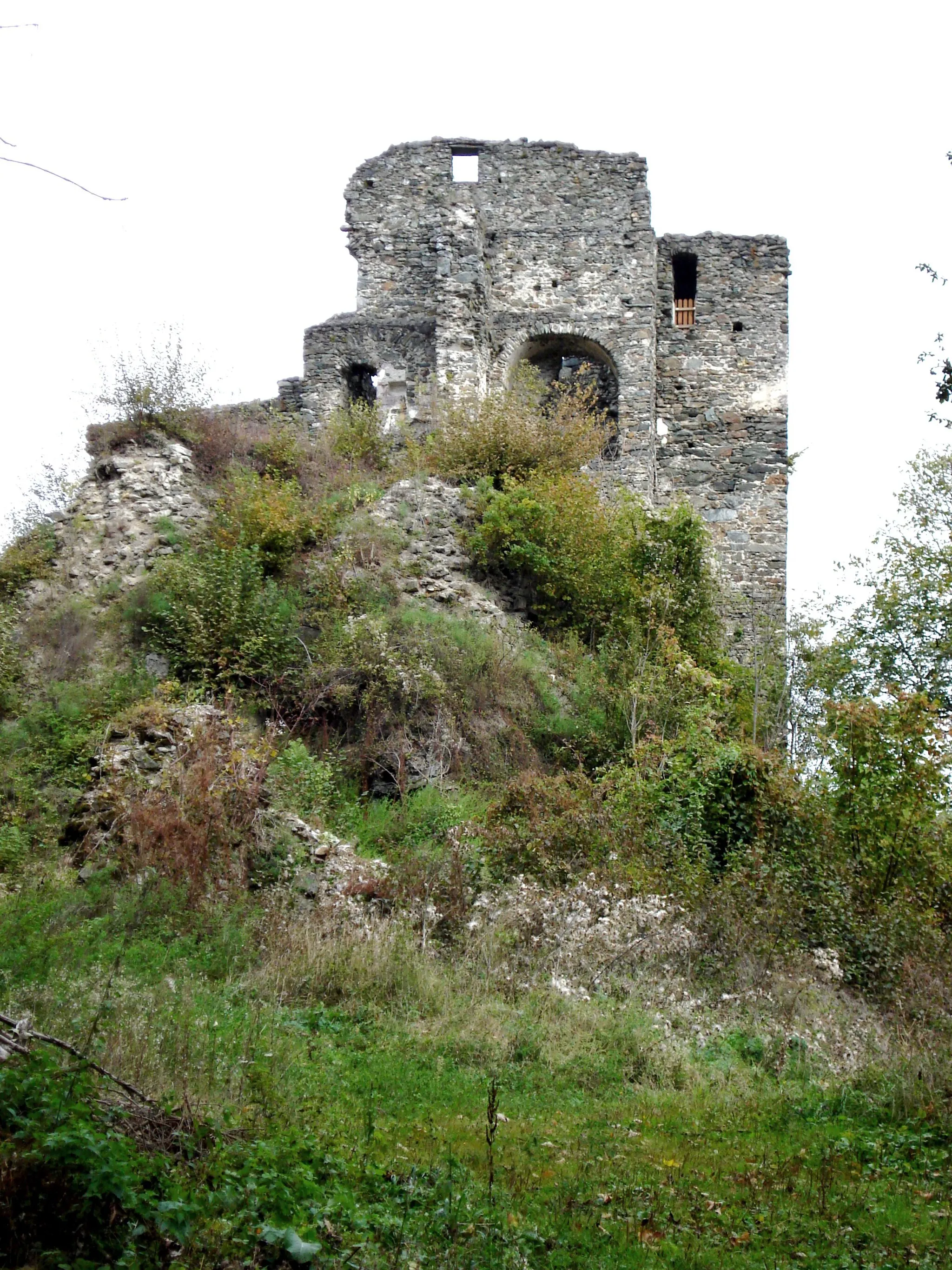 Photo showing: Burgruine Hardegg