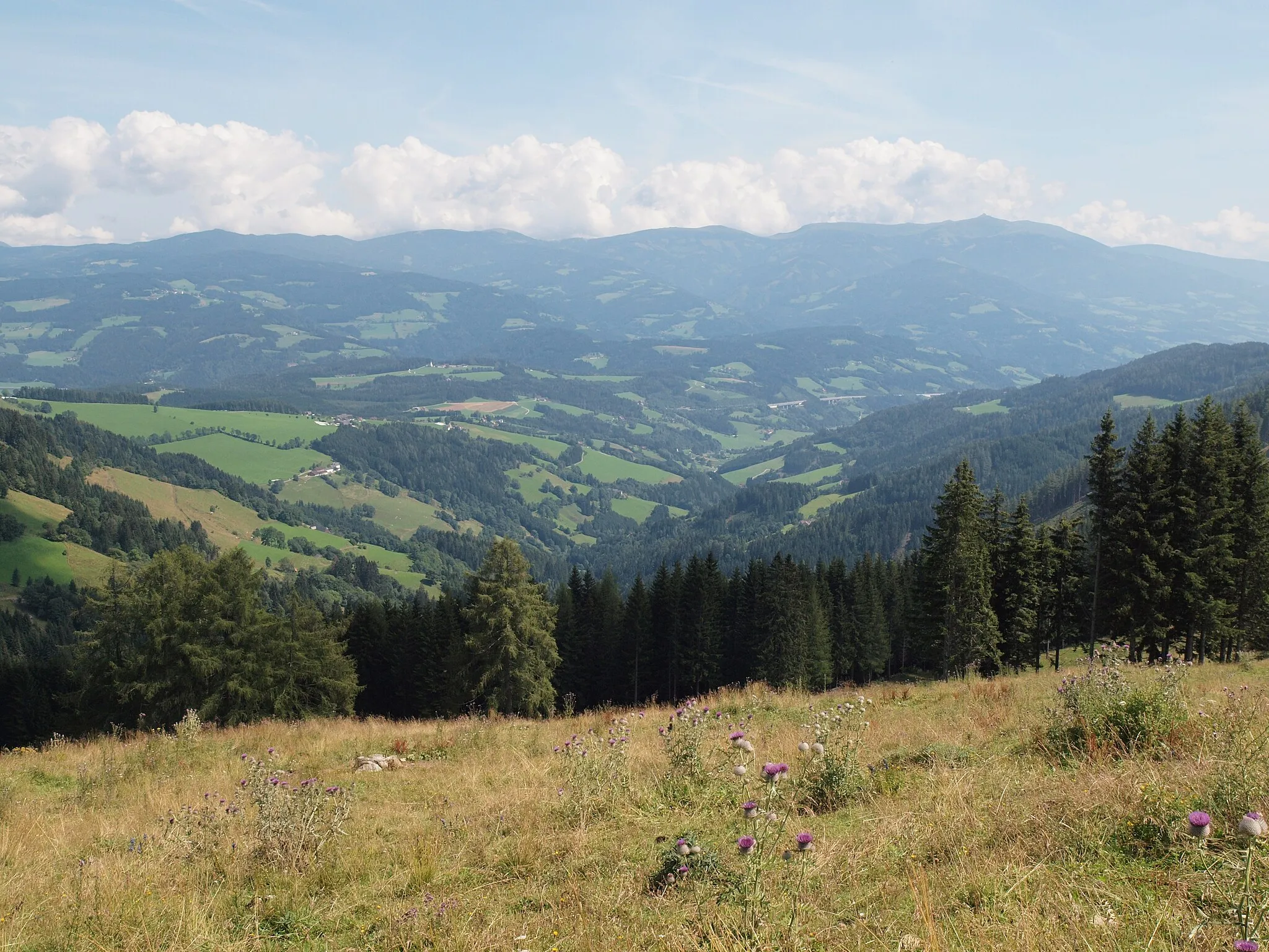 Photo showing: Blick über dem Auen - Wöllinggraben