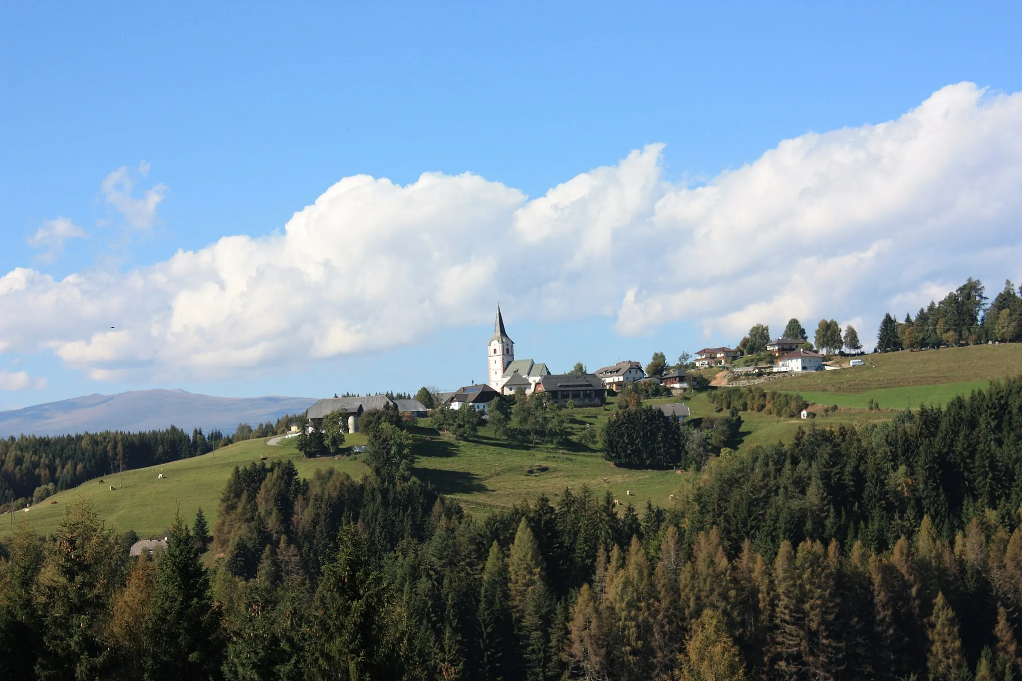 Photo showing: View to Zammelsberg
Locality:Zammelsberg

Community:Weitensfeld