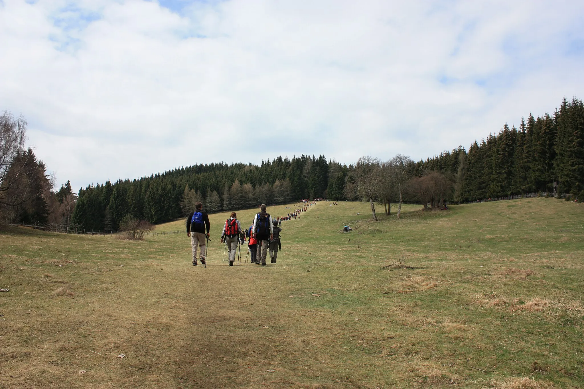 Photo showing: Meadow
Locality: Veitsberg

Community: Liebenfels