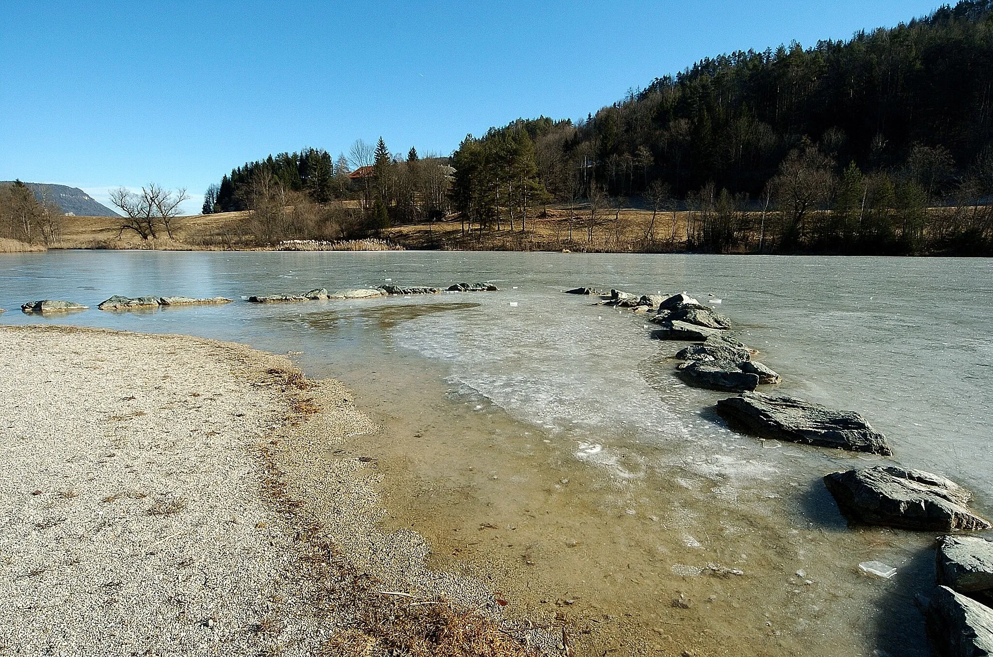 Photo showing: Frozen pond at the floodplain forest in Trieblach, municipality Sankt Margareten im Rosental, district Klagenfurt Land, Carinthia, Austria, EU