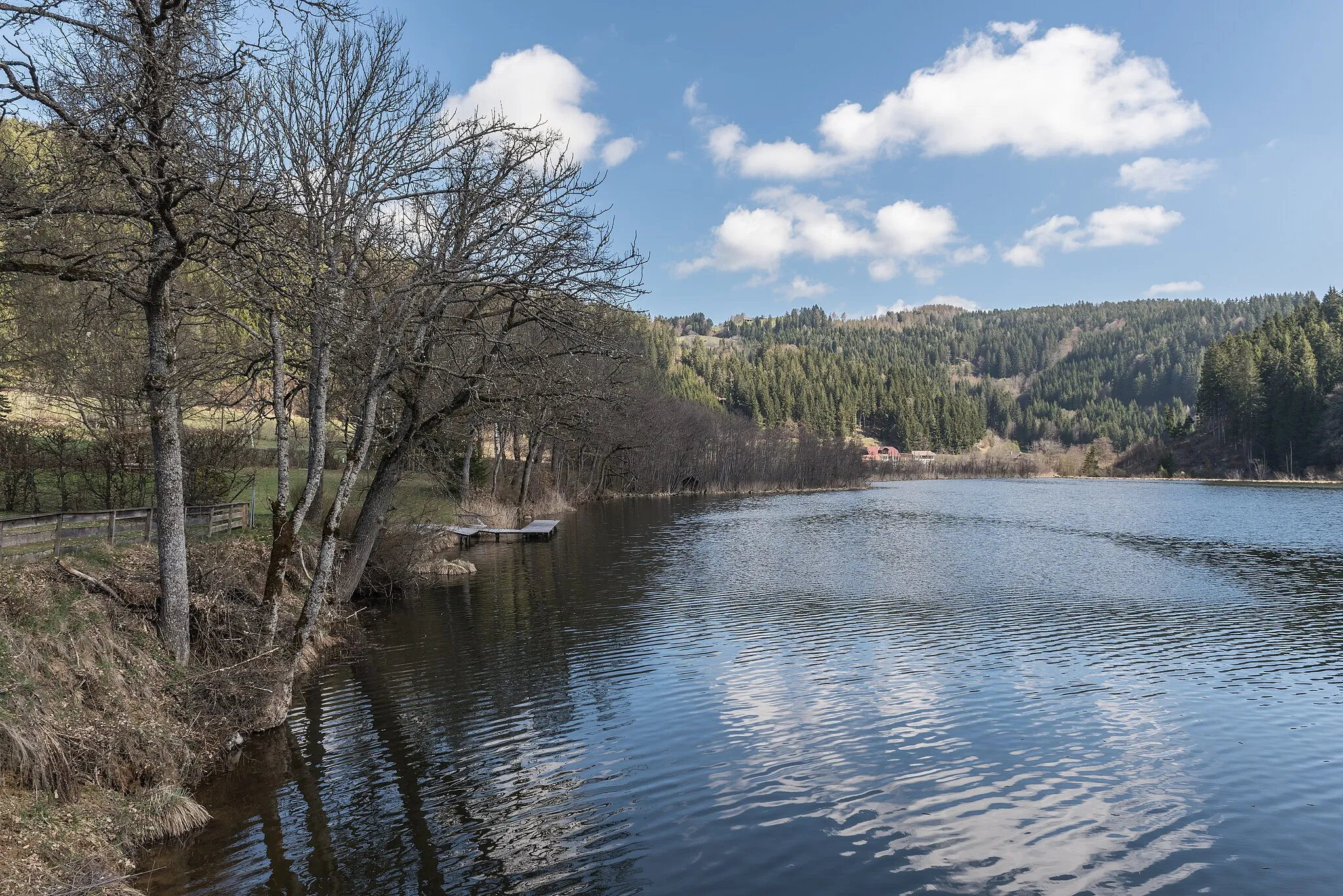 Photo showing: Lake Goggau in Goggau, municipality Steuerberg, district Feldkirchen, Carinthia, Austria, EU