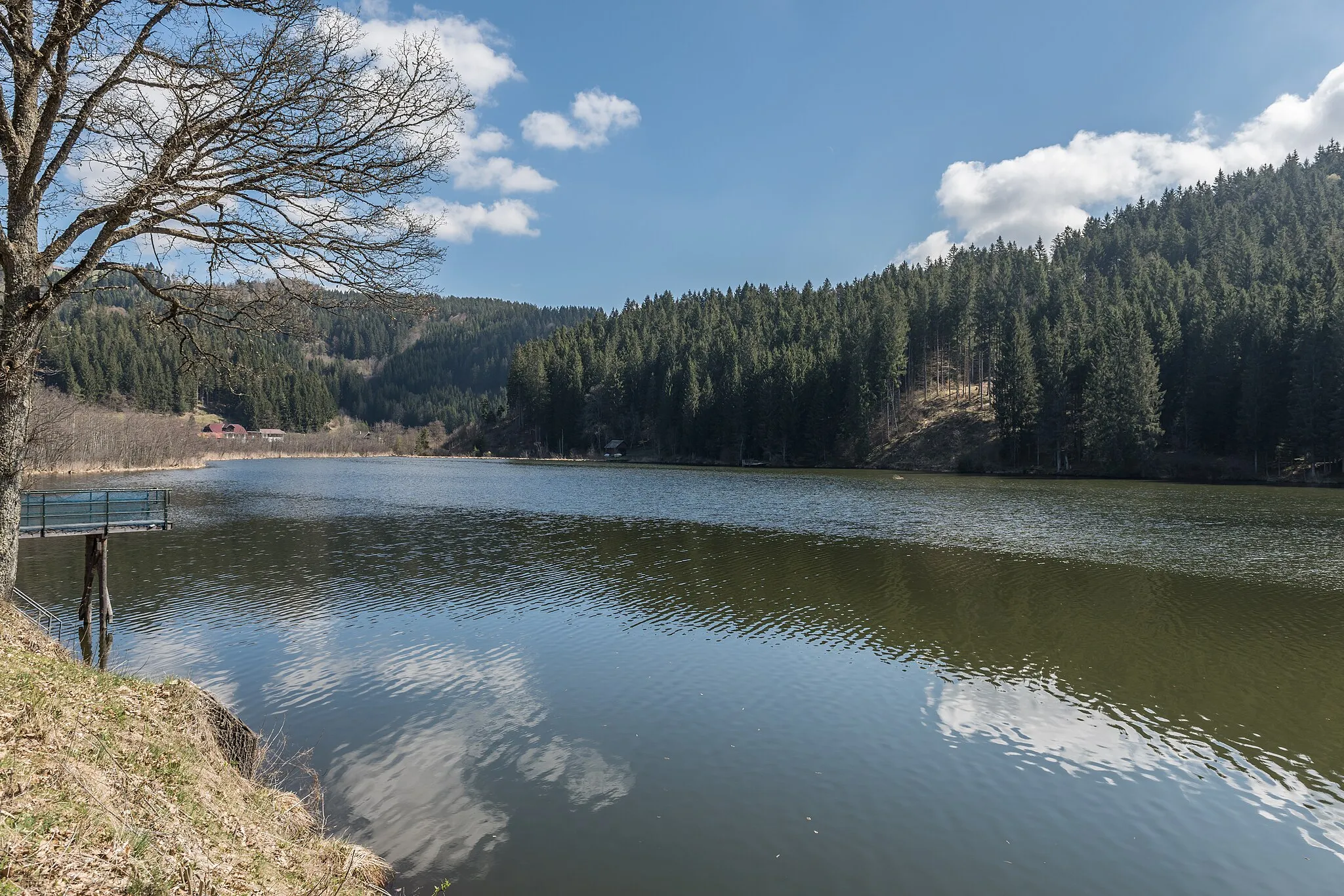 Photo showing: Lake Goggau in Goggau, municipality Steuerberg, district Feldkirchen, Carinthia, Austria, EU