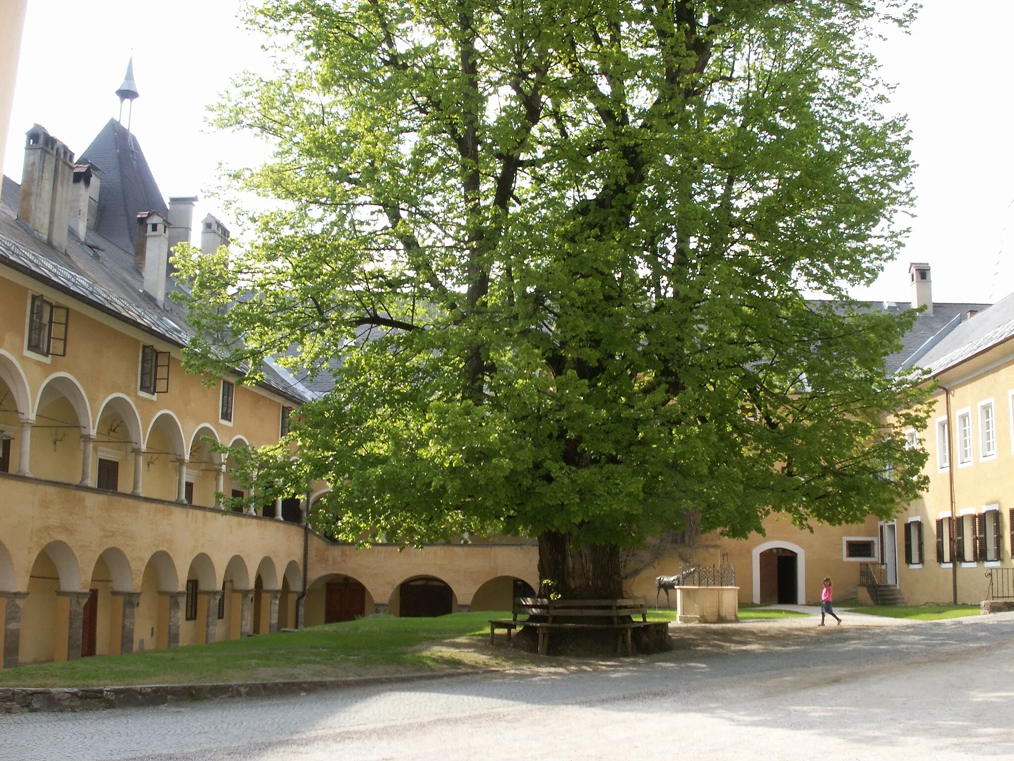 Photo showing: This media shows the natural monument in Carinthia  with the ID Sp 01.