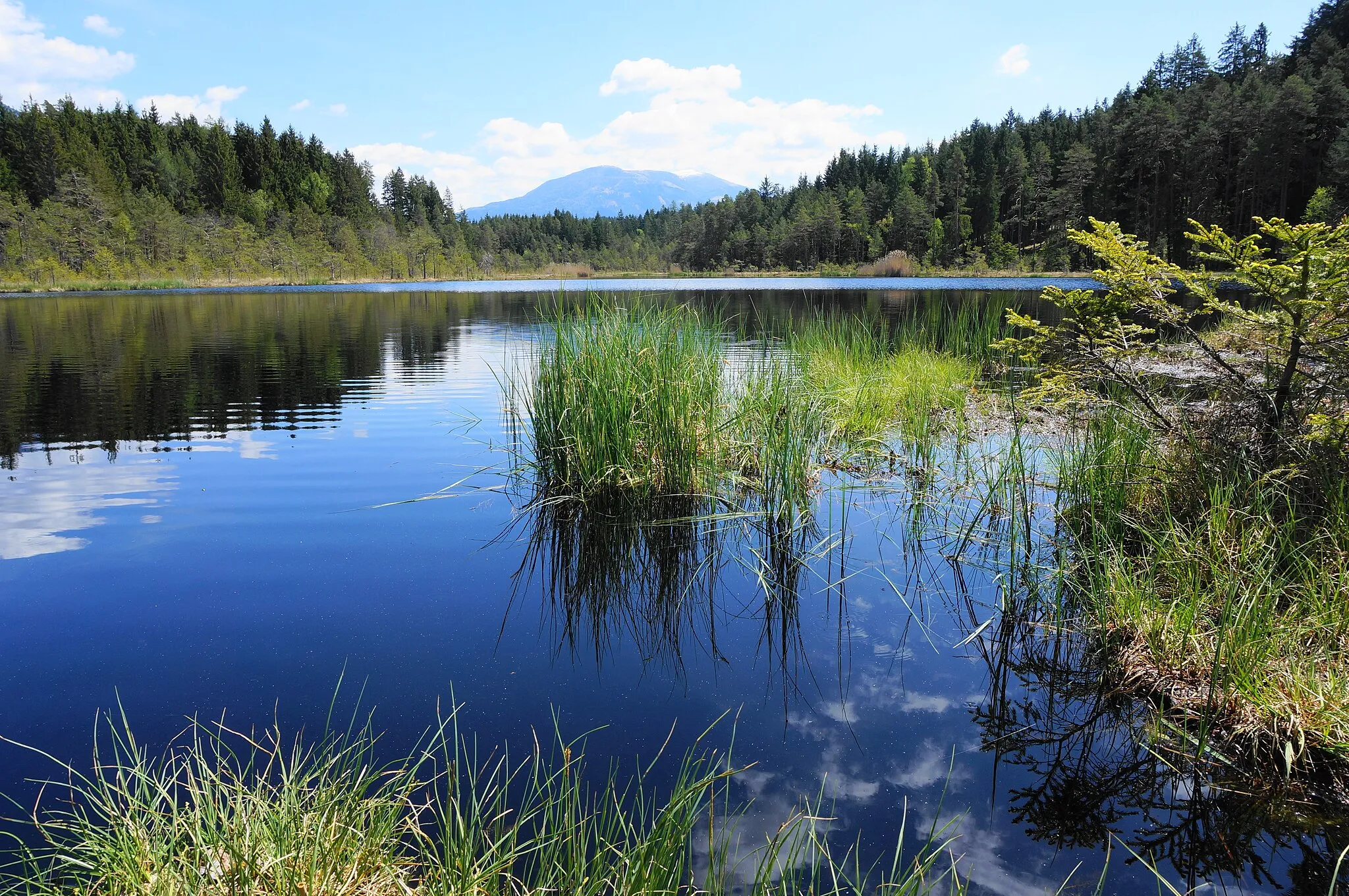 Photo showing: Molzbichl, Carinthia, Austria