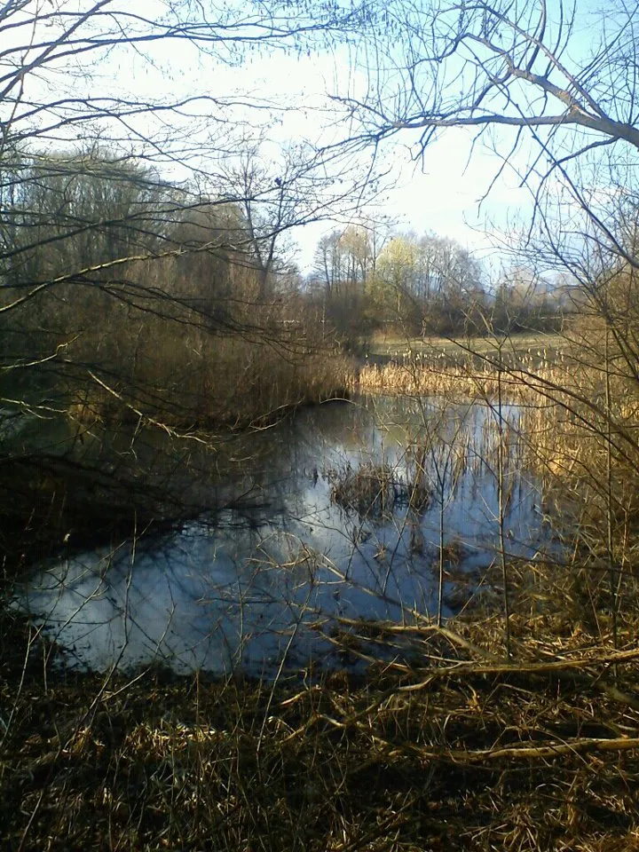 Photo showing: This media shows the nature reserve in Carinthia  with the ID NSG.024.