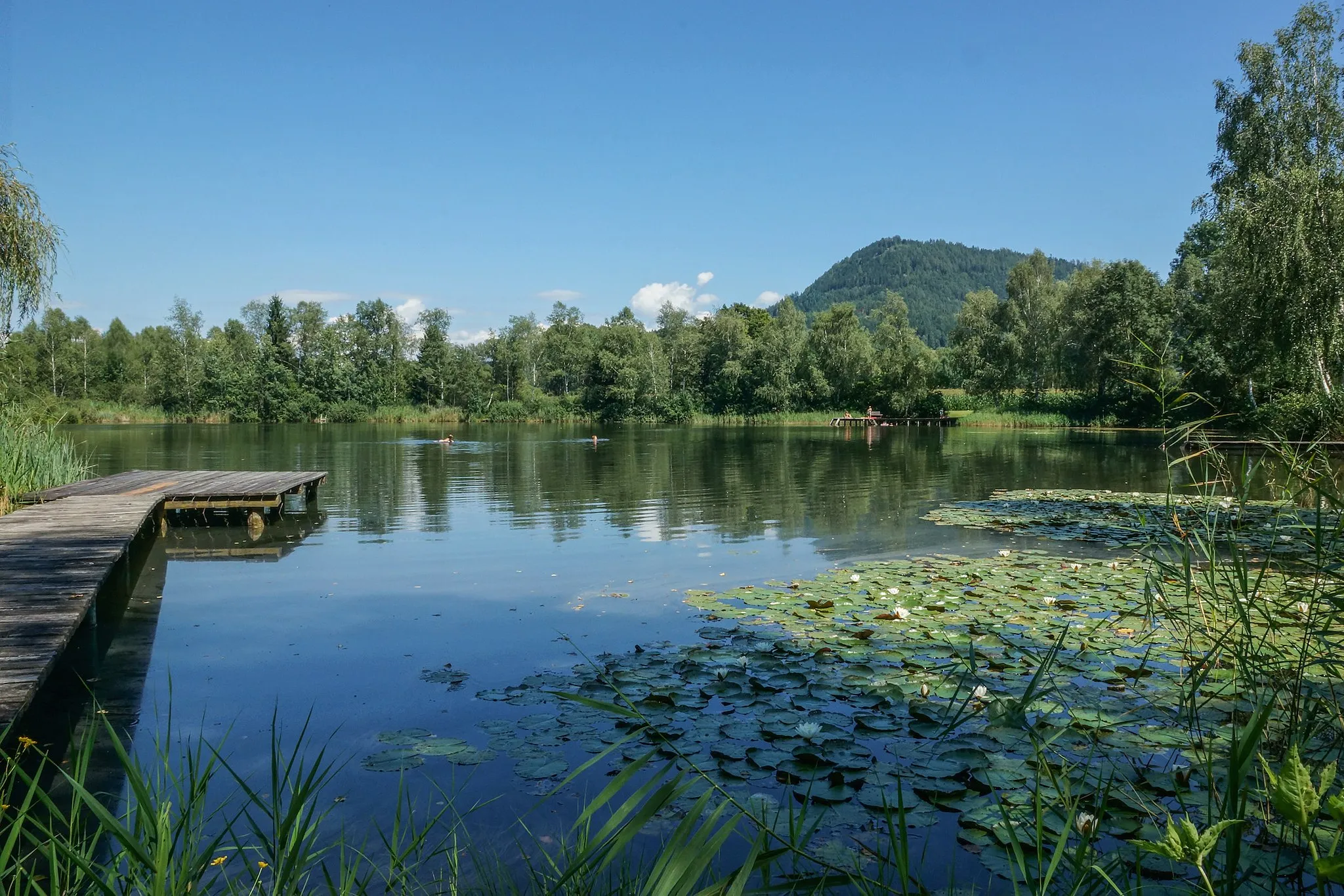 Photo showing: Schwer zu finden ist der Zmulner See zwischen Feldkirchen und St. Veit an der Glan. Idyllisch gelegen mit schöner gepflegter Liegewiese und nicht viel besucht an diesem Tag.