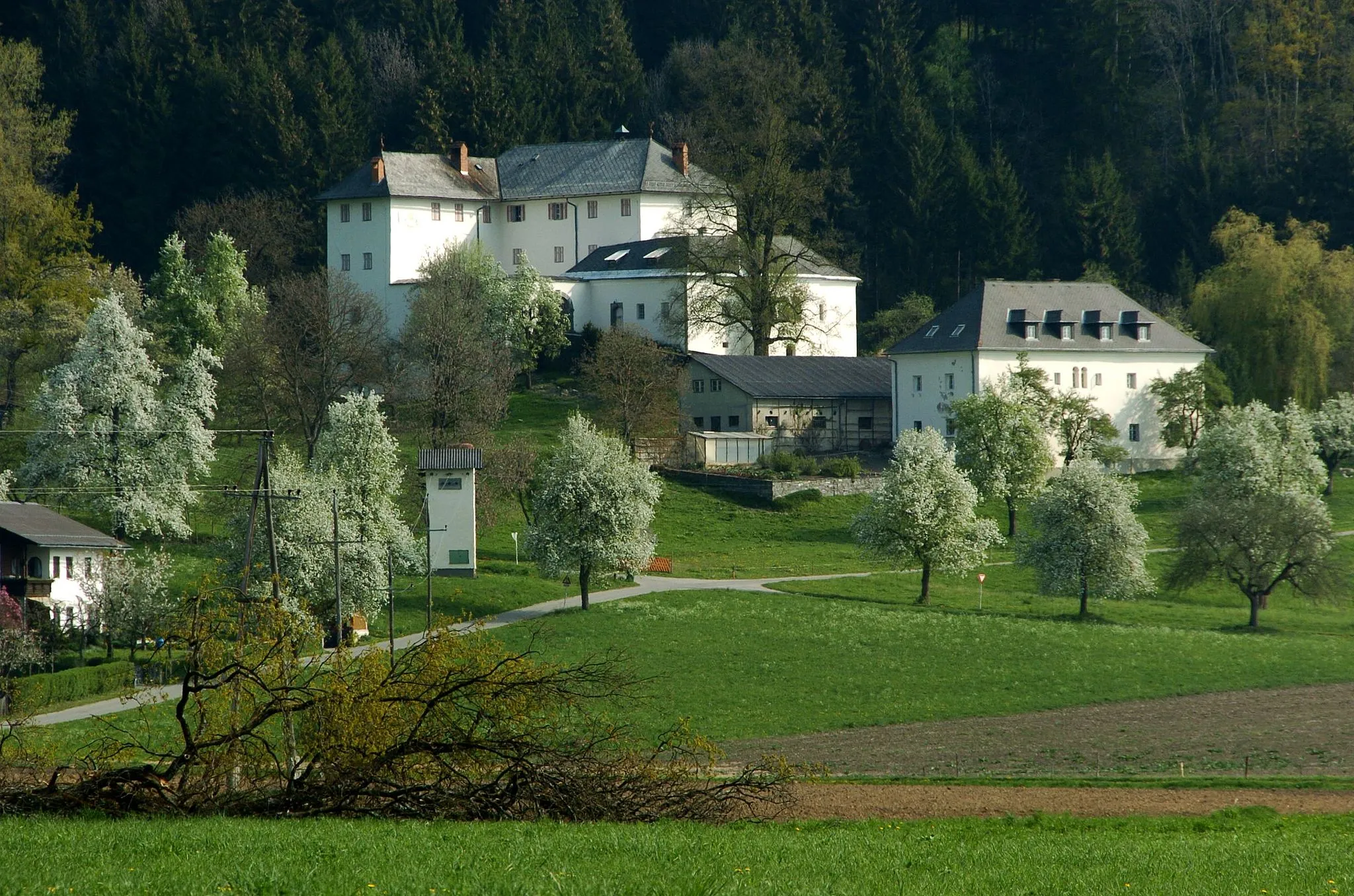 Photo showing: Castle Rosenbichl at Rosenbichl, municipality Liebenfels, district St. Veit an der Glan, Carinthia, Austria