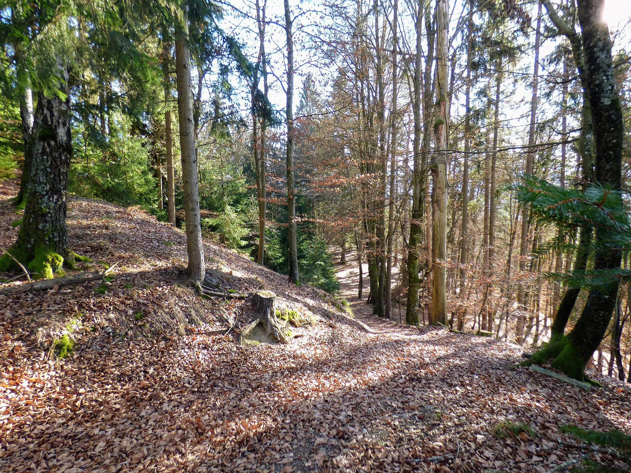 Photo showing: (heutiger) Zugang zum befestigten Gipfelplateau des Kruckekogels, 
Gemeinde Maria Saal (Kärnten)