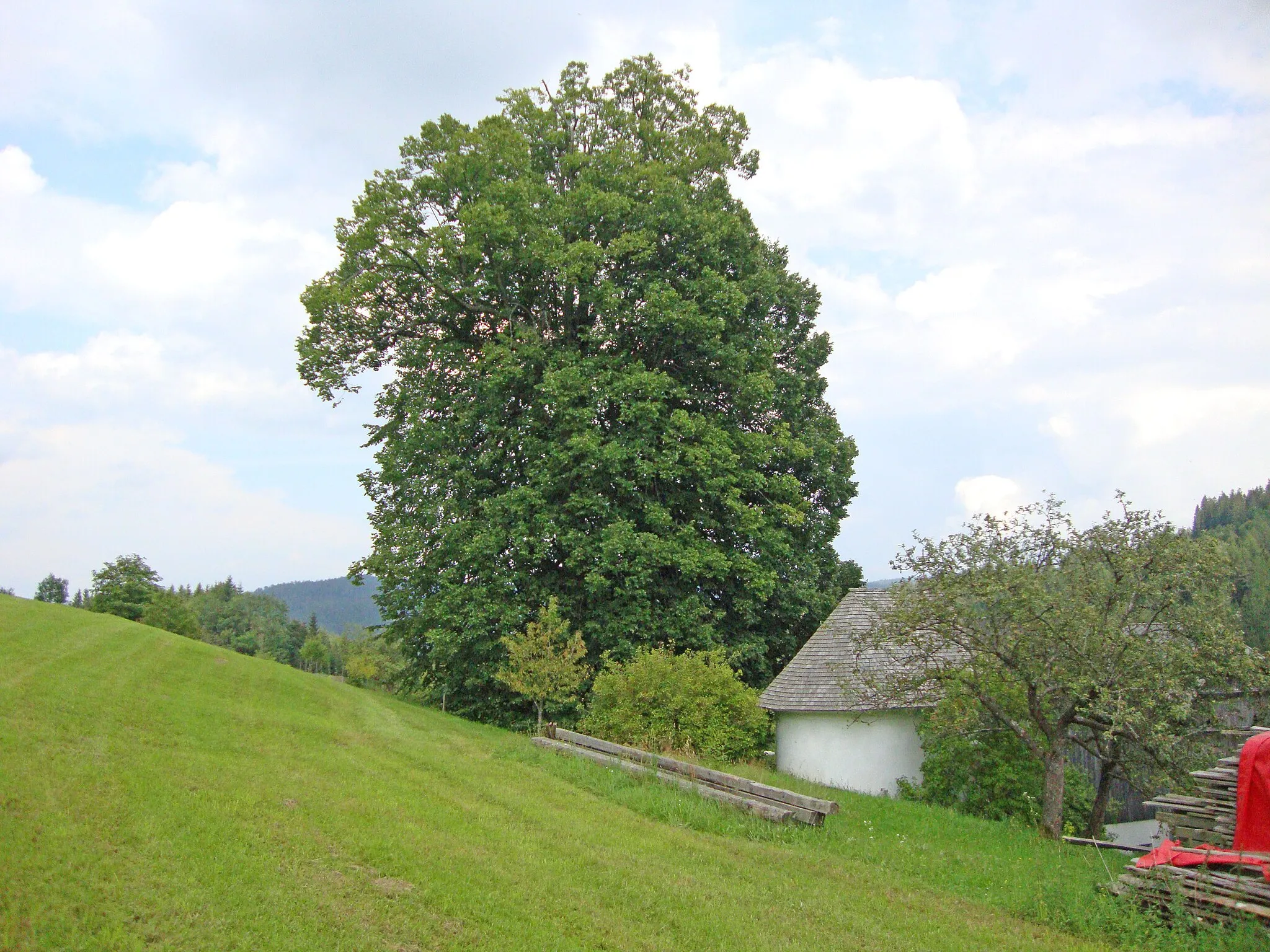 Photo showing: This media shows the natural monument in Styria  with the ID 1190.