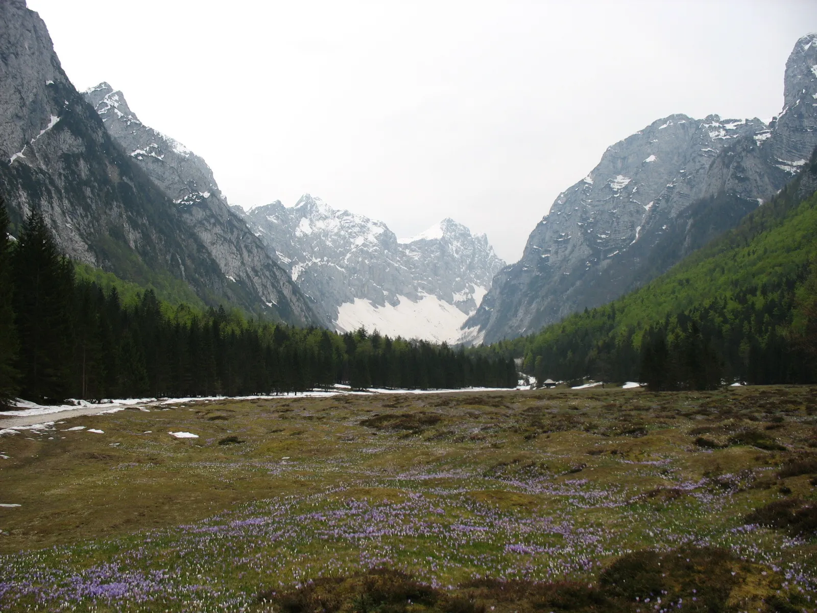 Photo showing: Dolina Krma - a Valley in North of Slovenia (Julian Alps - Julijske alpe region).