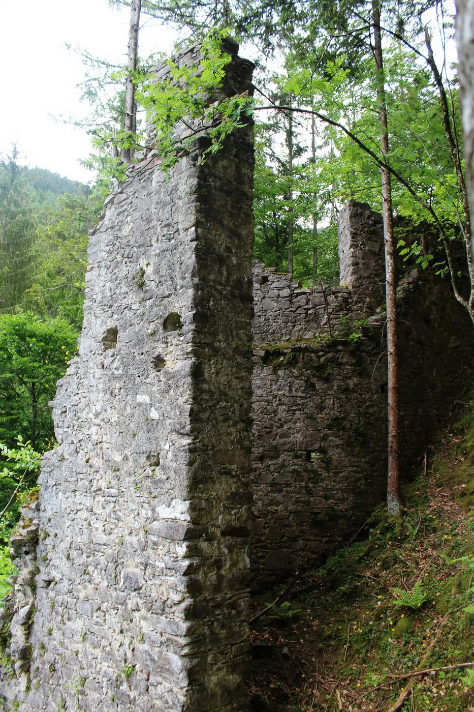 Photo showing: Burg Treffen (Kärnten). Die Gründung der Burg erfolgte um 1065 durch Graf Markwart v. Eppenstein. Die Grafen und Kärntner Herzöge von Eppenstein gehörten zu jener Zeit zu den mächtigsten Dynastien im südöstlichen Alpenraum. Um 1090 geht die Burg und weitere Eppensteiner Besitzungen durch eine Heirat an den Grafen Wolfrad aus dem schwäbischen Dynastengeschlecht der Grafen von Veringen. Ab 1121 trat er als Graf „von Treffen“ auf.