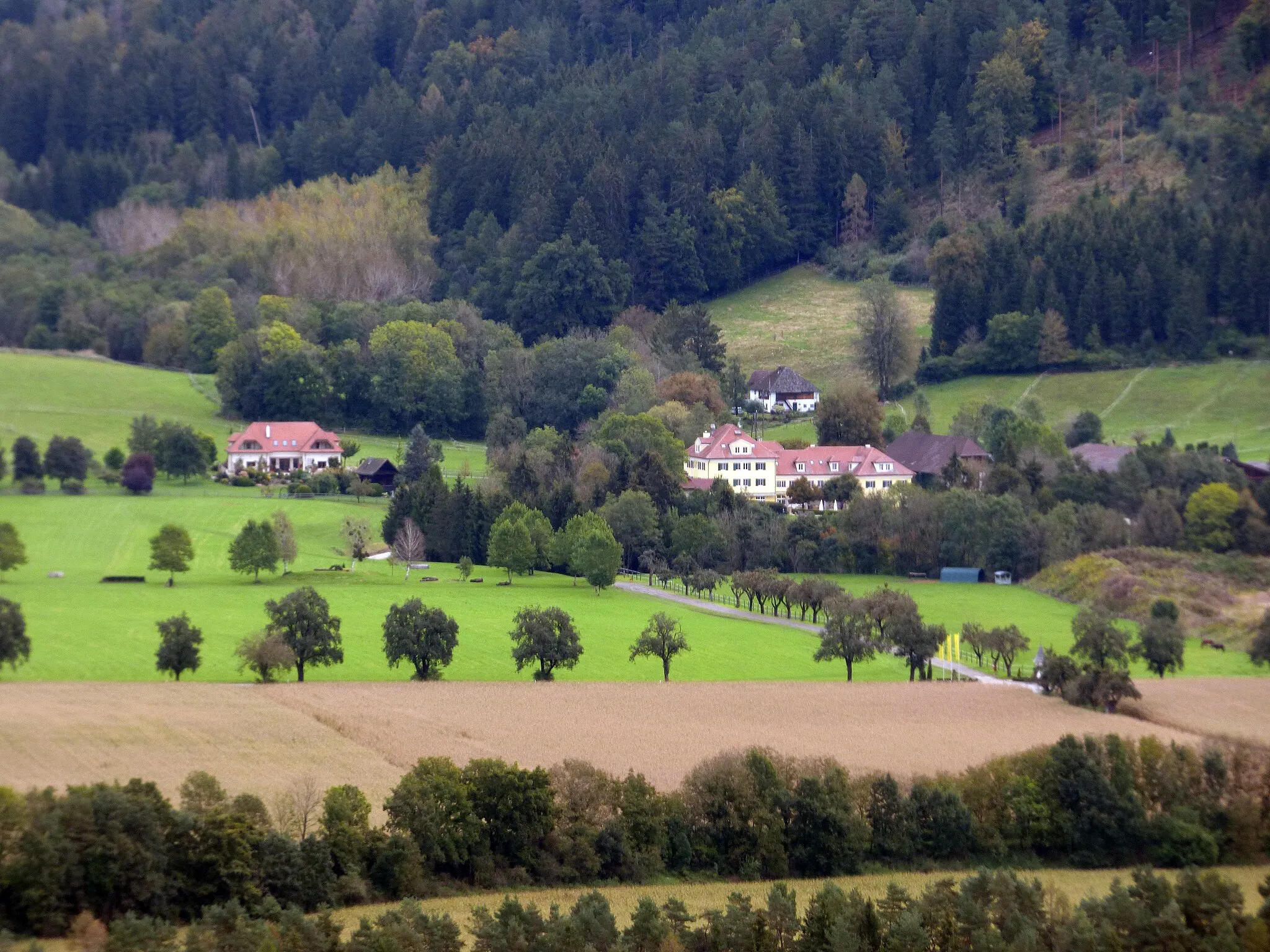 Photo showing: Wiendorf, Ortschaft in der Gemeinde Sankt Georgen am Längsee