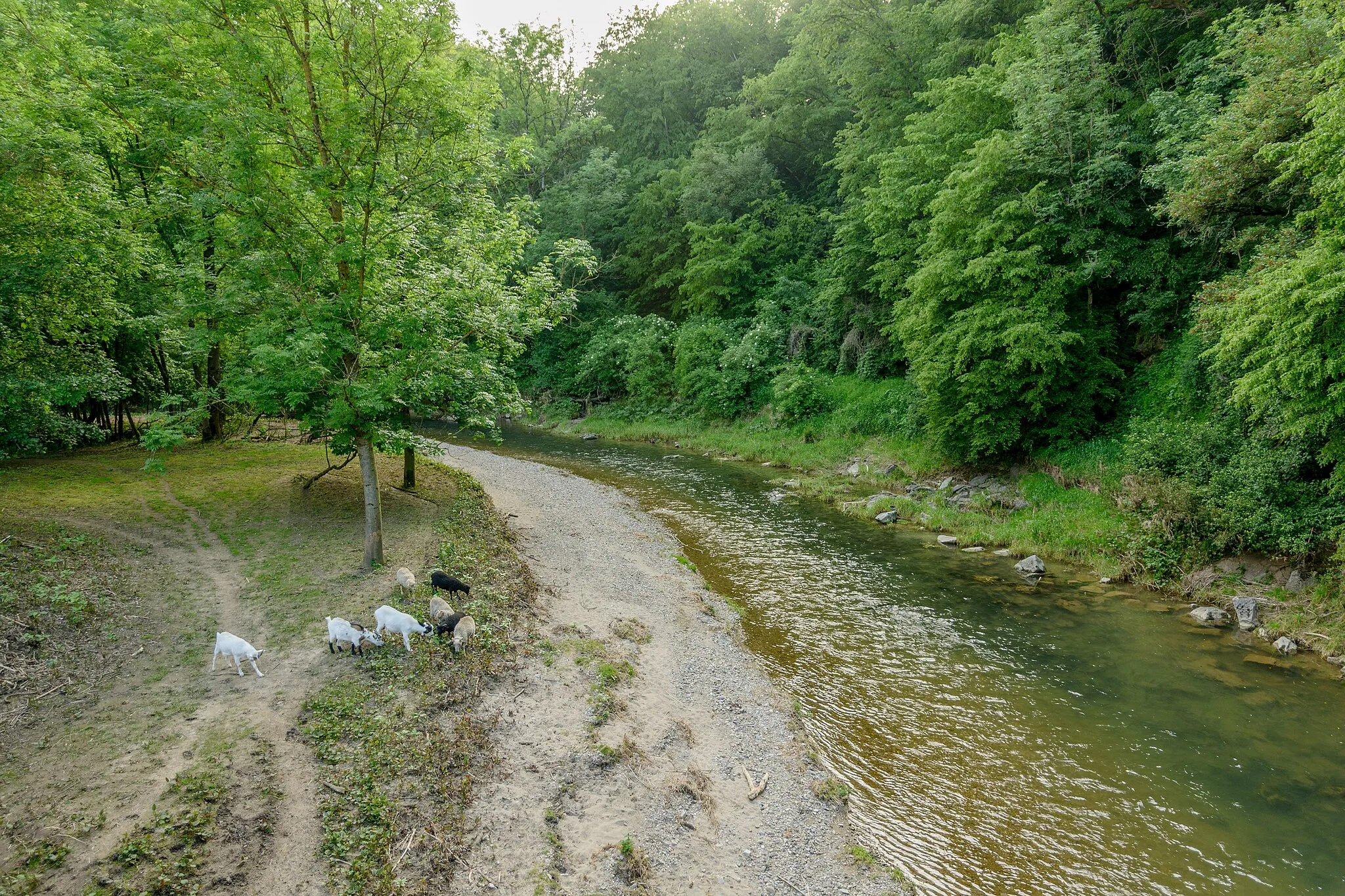 Photo showing: This media shows the natural monument in Lower Austria  with the ID ME-057.