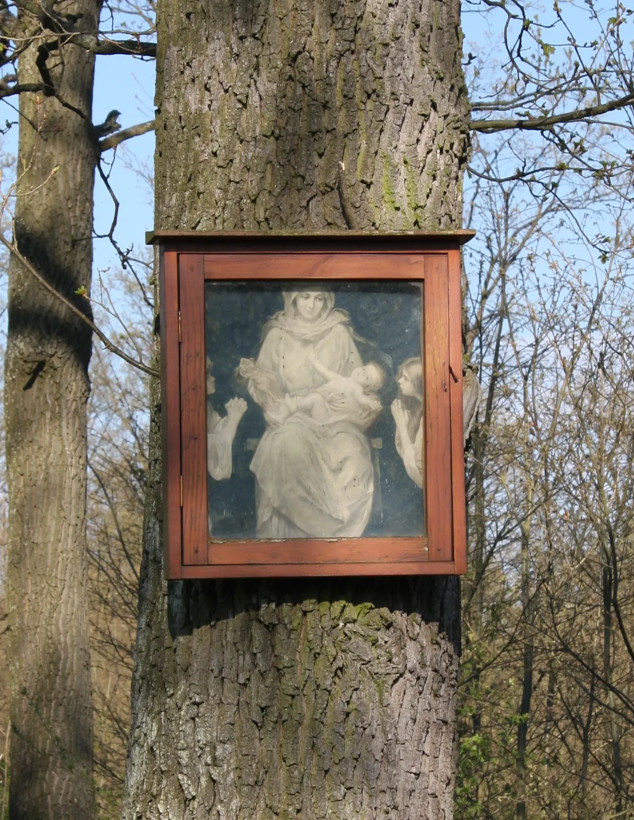 Photo showing: A tree shrine near Mistelbach, Lower Austria