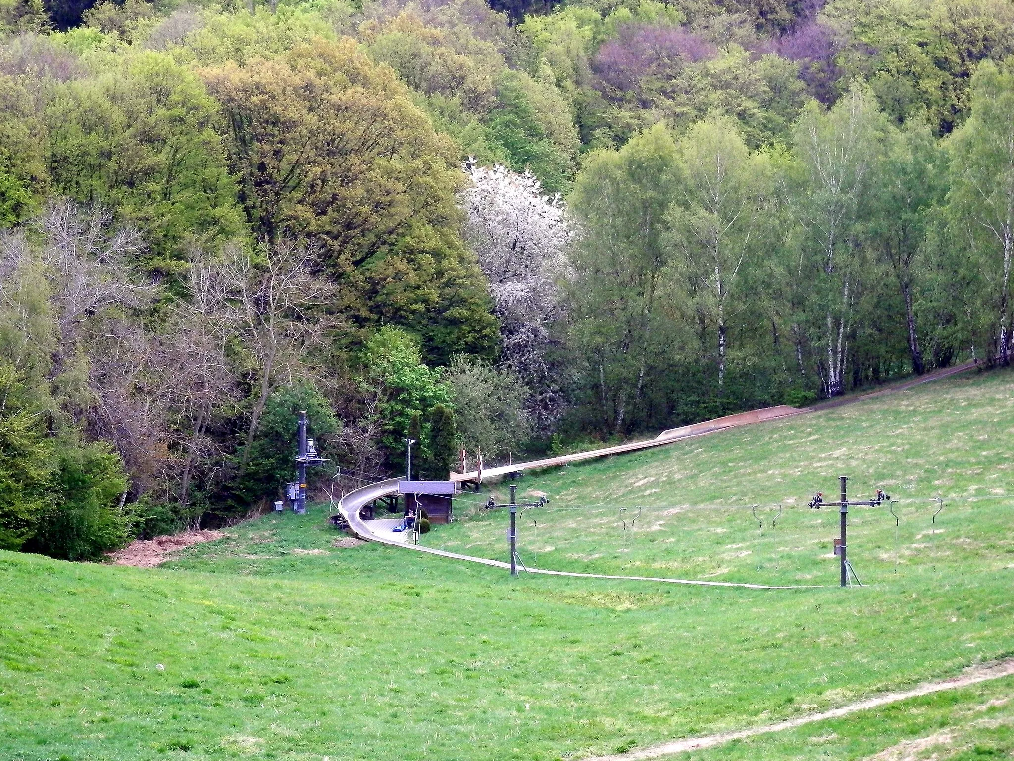 Photo showing: Veľkonočná Biela sobota 15.4.2017. Bratislavský lesný park, časť Koliba. Lúka s bobovou dráhou. Bratislava, Slovensko.