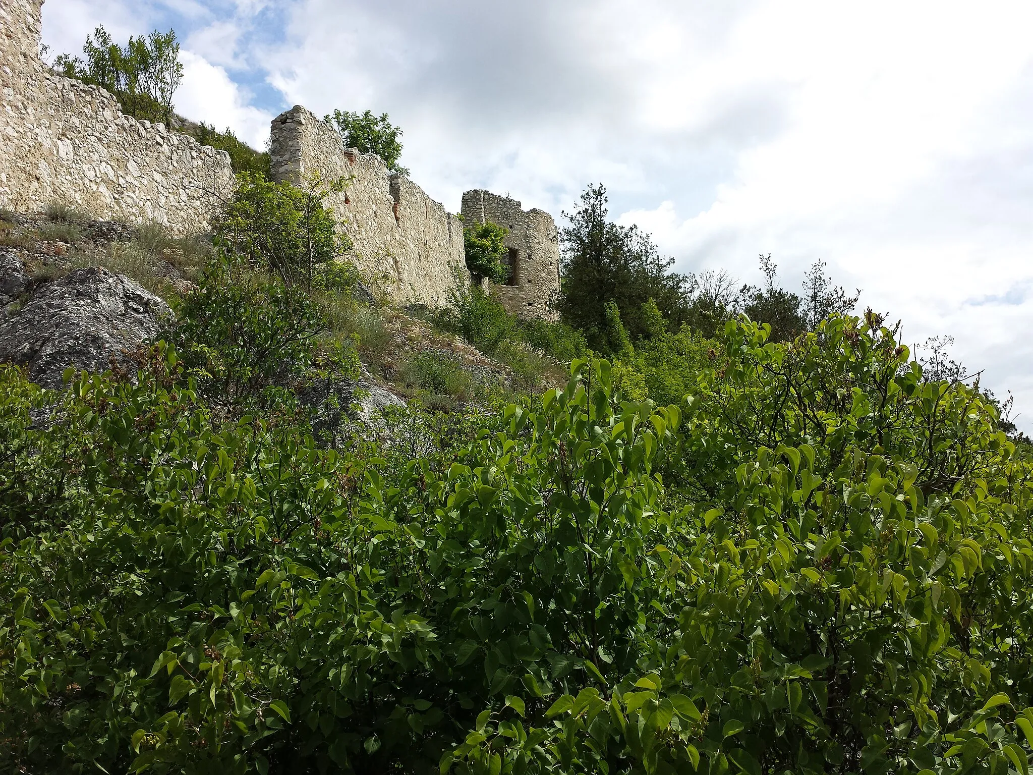 Photo showing: This media shows the natural monument in Lower Austria  with the ID MI-052.