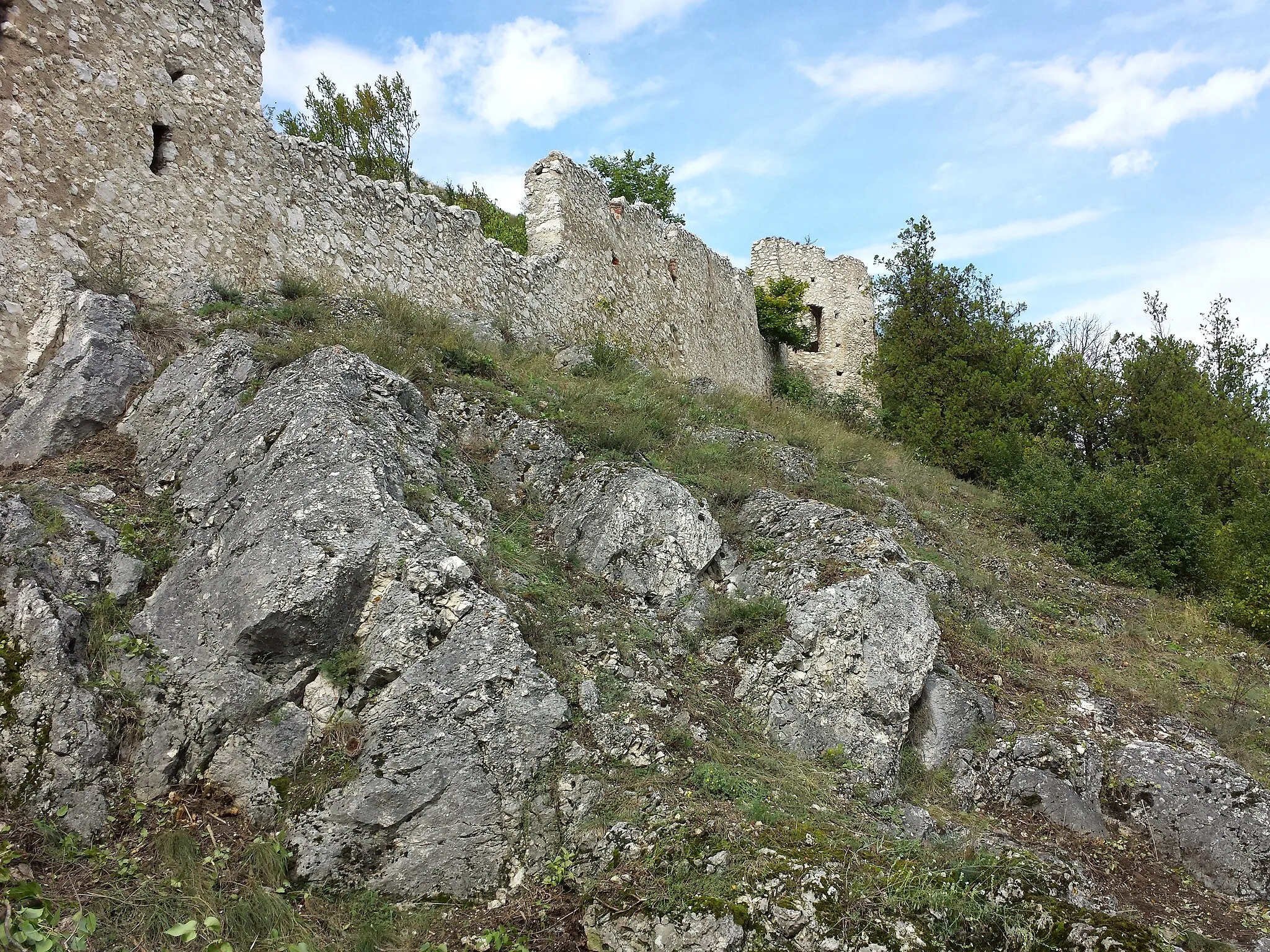 Photo showing: This media shows the natural monument in Lower Austria  with the ID MI-052.