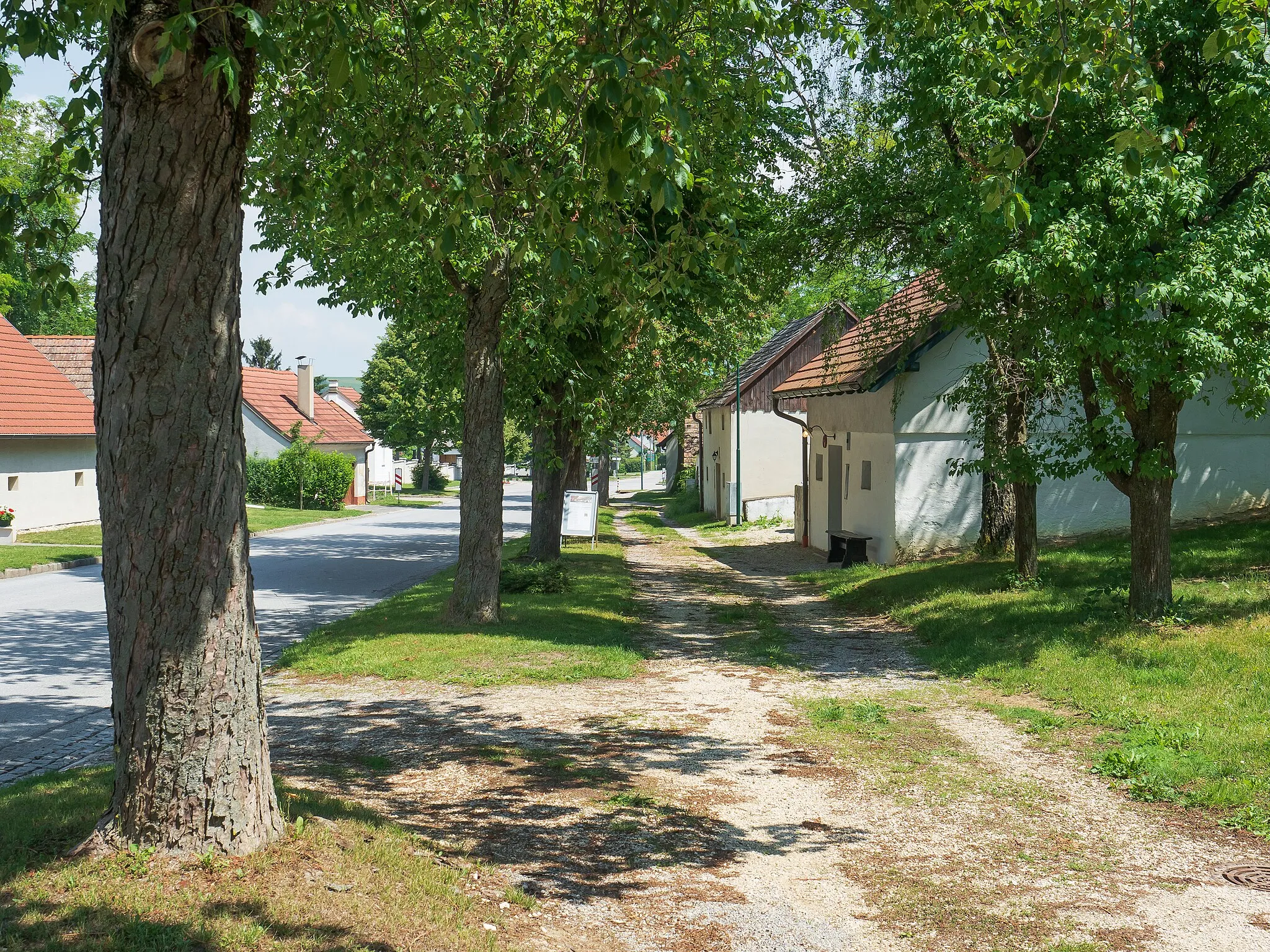 Photo showing: Kellergasse „Beim Friedhof“ in der KG Asparn an der Zaya in Asparn an der Zaya