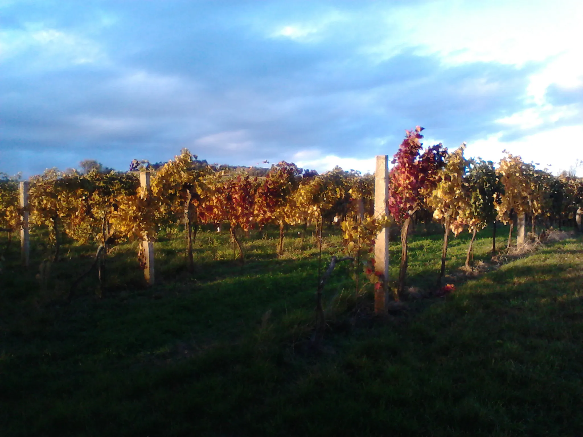 Photo showing: This media shows the nature reserve in Lower Austria  with the ID 3.