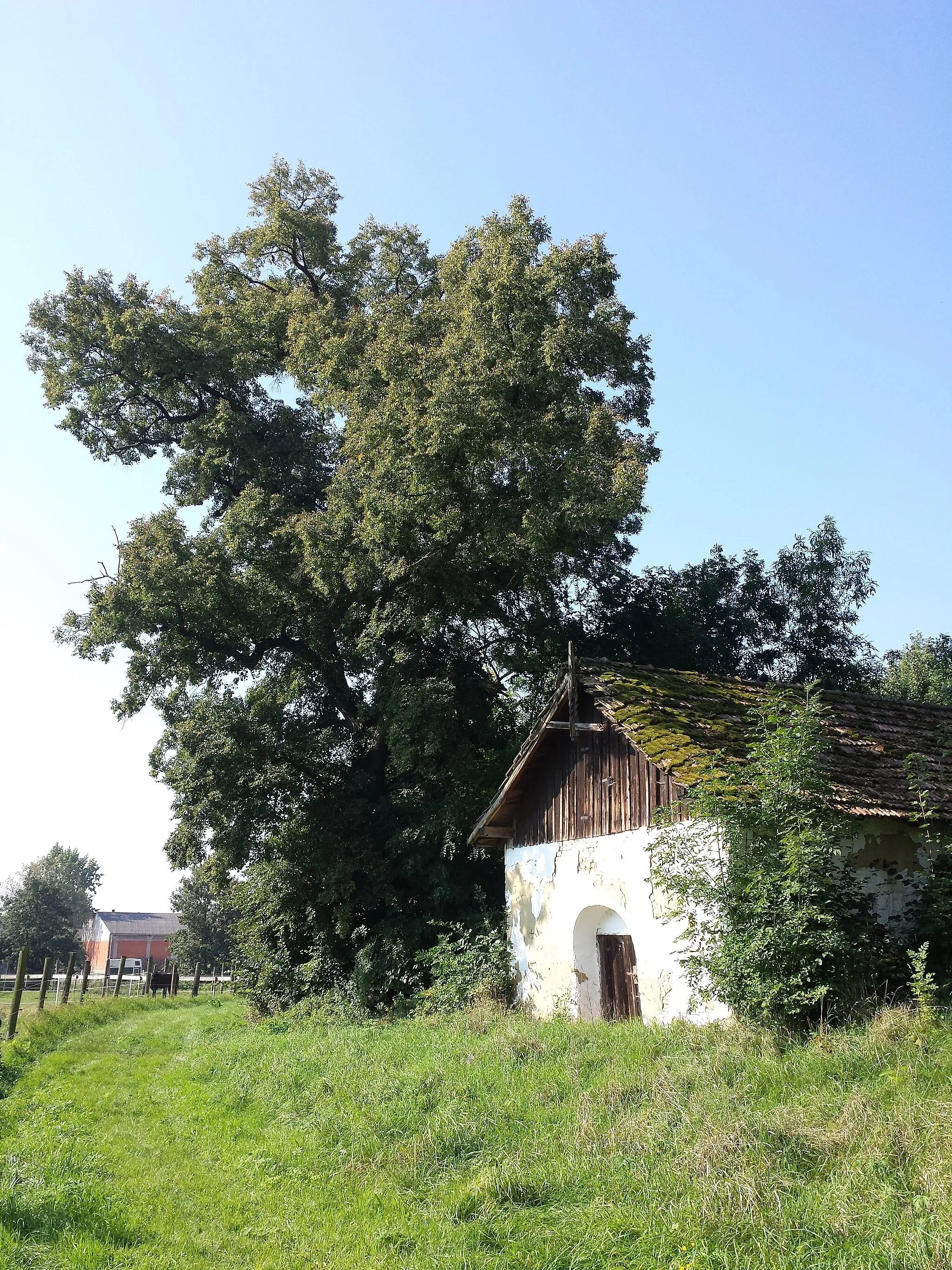 Photo showing: Streitdorf, district Korneuburg, Lower Austria - 200 m a.s.l.
View of a place