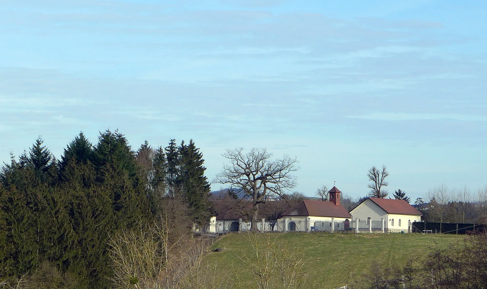 Photo showing: Schlossanlage Innernstein bei Münzbach im Mühlviertel in Oberösterreich (Austria). Ansicht von Westen. Das eigentliche Schloss verdecken die Waldbäume links im Bild.