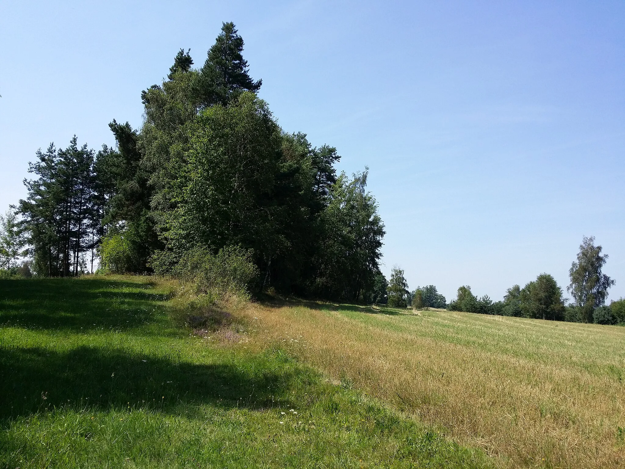 Photo showing: Landscape south of Pyhrabruck, district Gmünd, Lower Austria