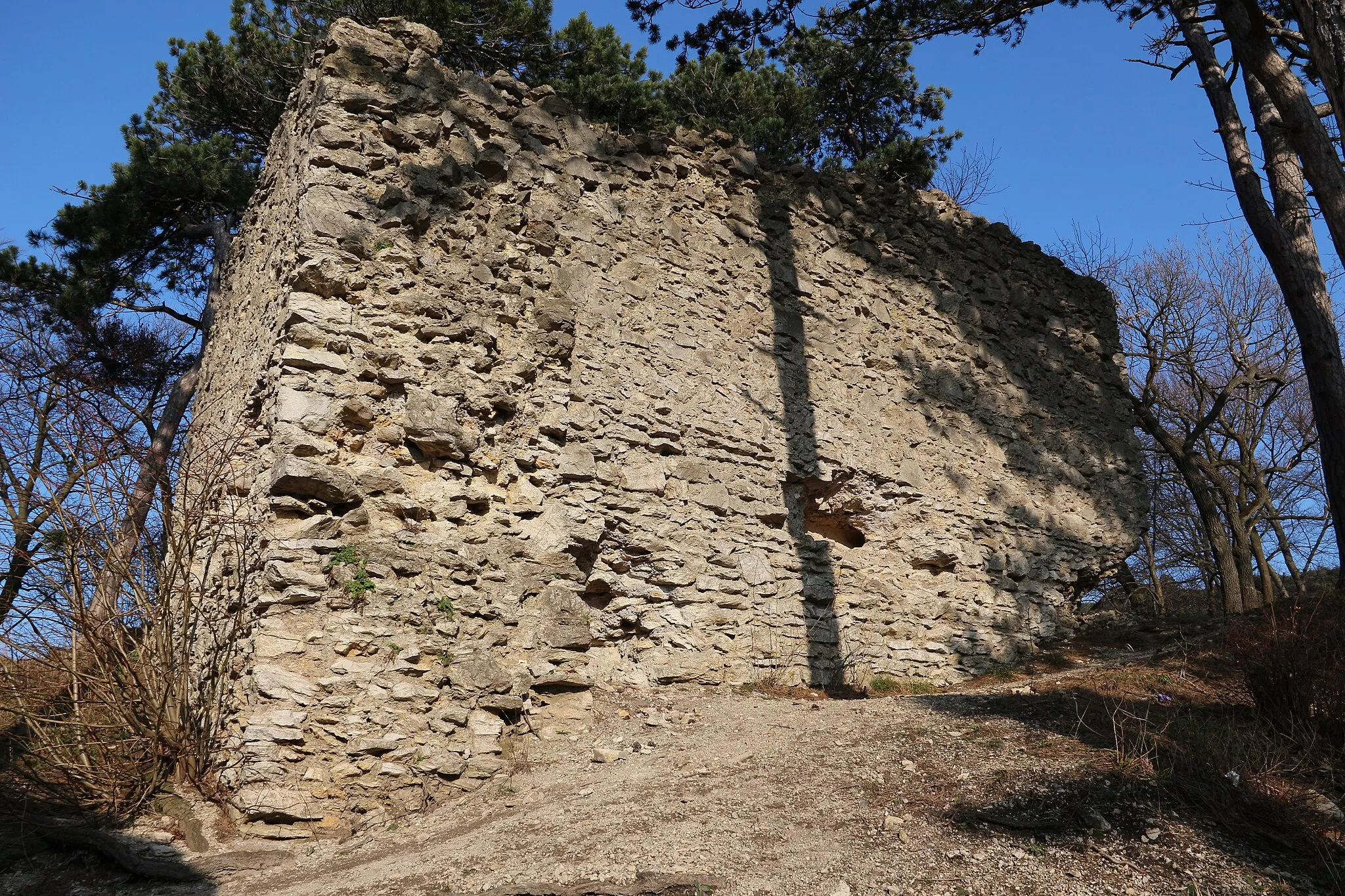 Photo showing: Ruine Kammerstein