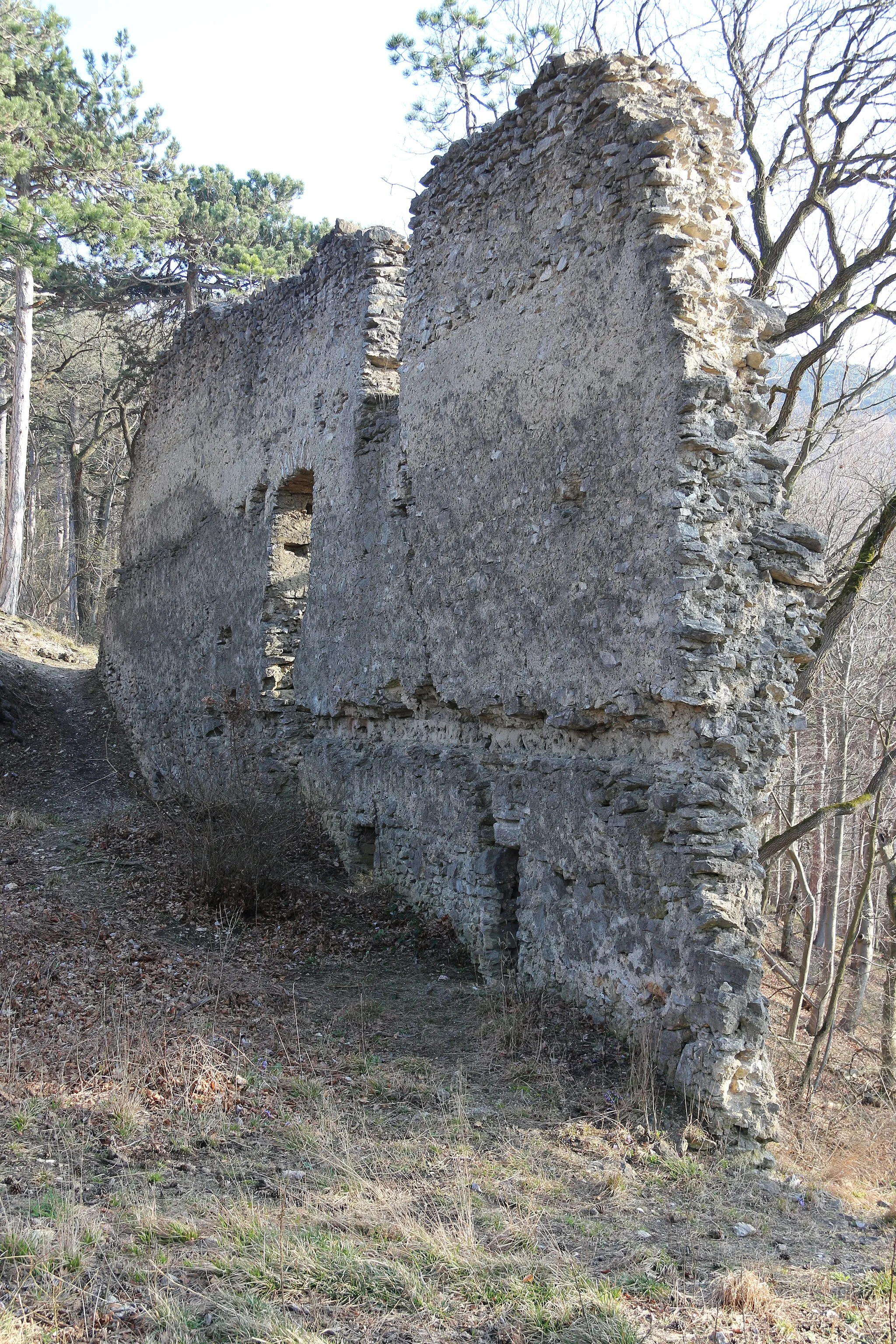 Photo showing: Ruine Kammerstein