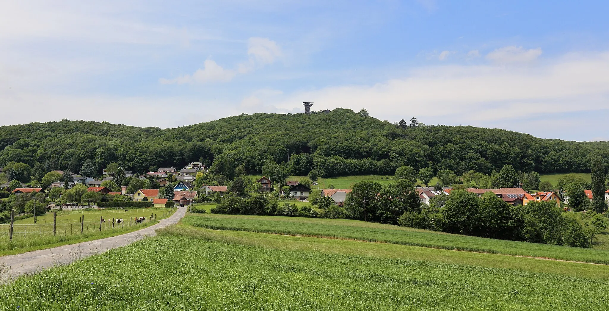 Photo showing: Südostansicht des 469 Meter hohen Buchberges in der niederösterreichischen Markgemeinde Maria Anzbach mit der im Jahr 2004 neu errichteten, 22,5 Meter hohen Buchbergwarte. Am Fuß des Buchberges links die Ortschaft Burgstall und rechts die Ortschaft Oed. Teilweise steht das Areal des Buchberges unter Denkmalschutz, weil Funde von Keramikscheiben auf eine Besiedlung des Hochplateaus von der ausgehenden Jungsteinzeit bis zur keltischen Periode hinweisen. Nach Ausgrabungen vermutet man, dass sich hier die größte urzeitliche Wallanlage des Wienerwaldes mit rund 350 bis 400 Meter Länge und etwa 150 Meter Breite befand.