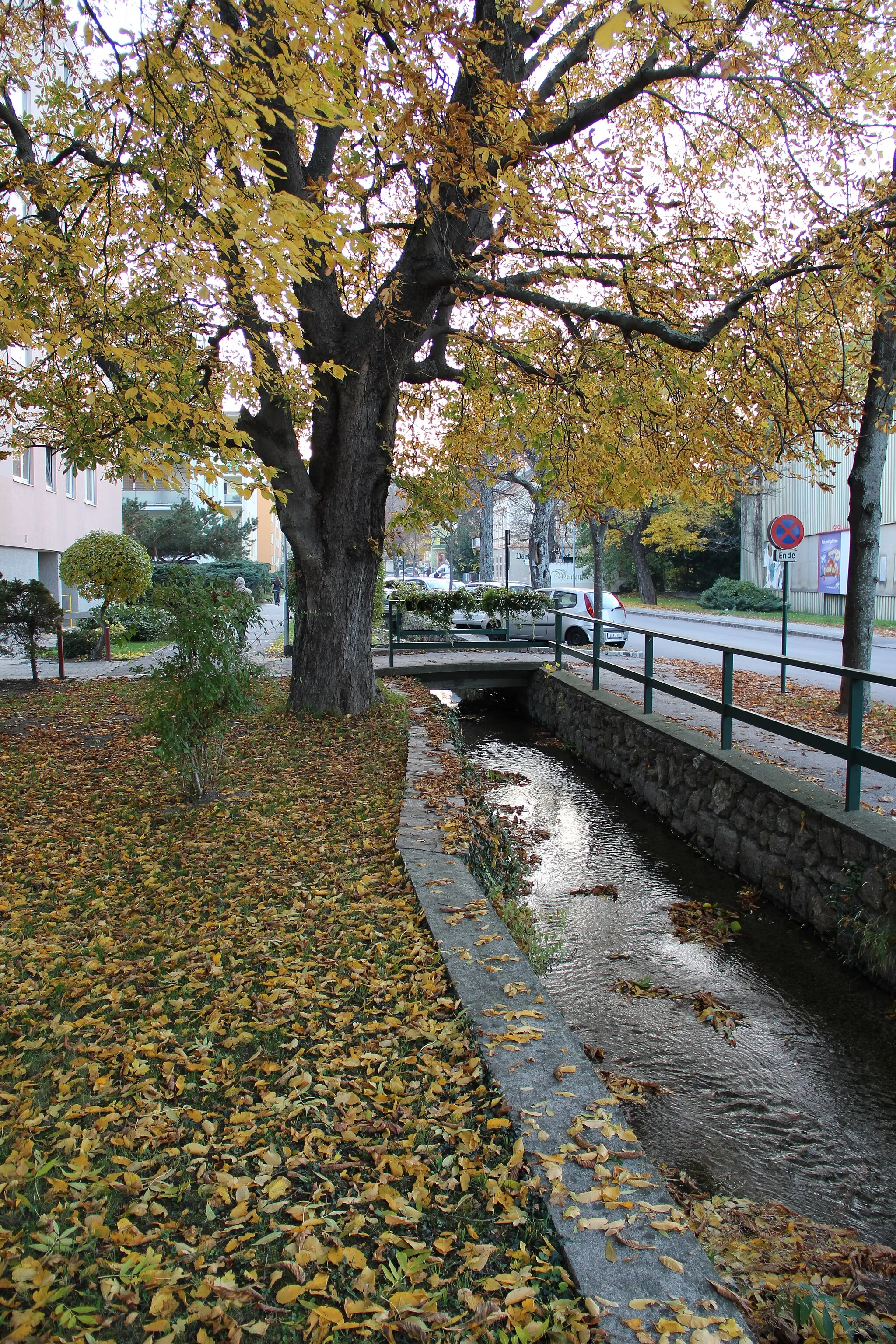 Photo showing: This media shows the natural monument in Lower Austria  with the ID BN-081.