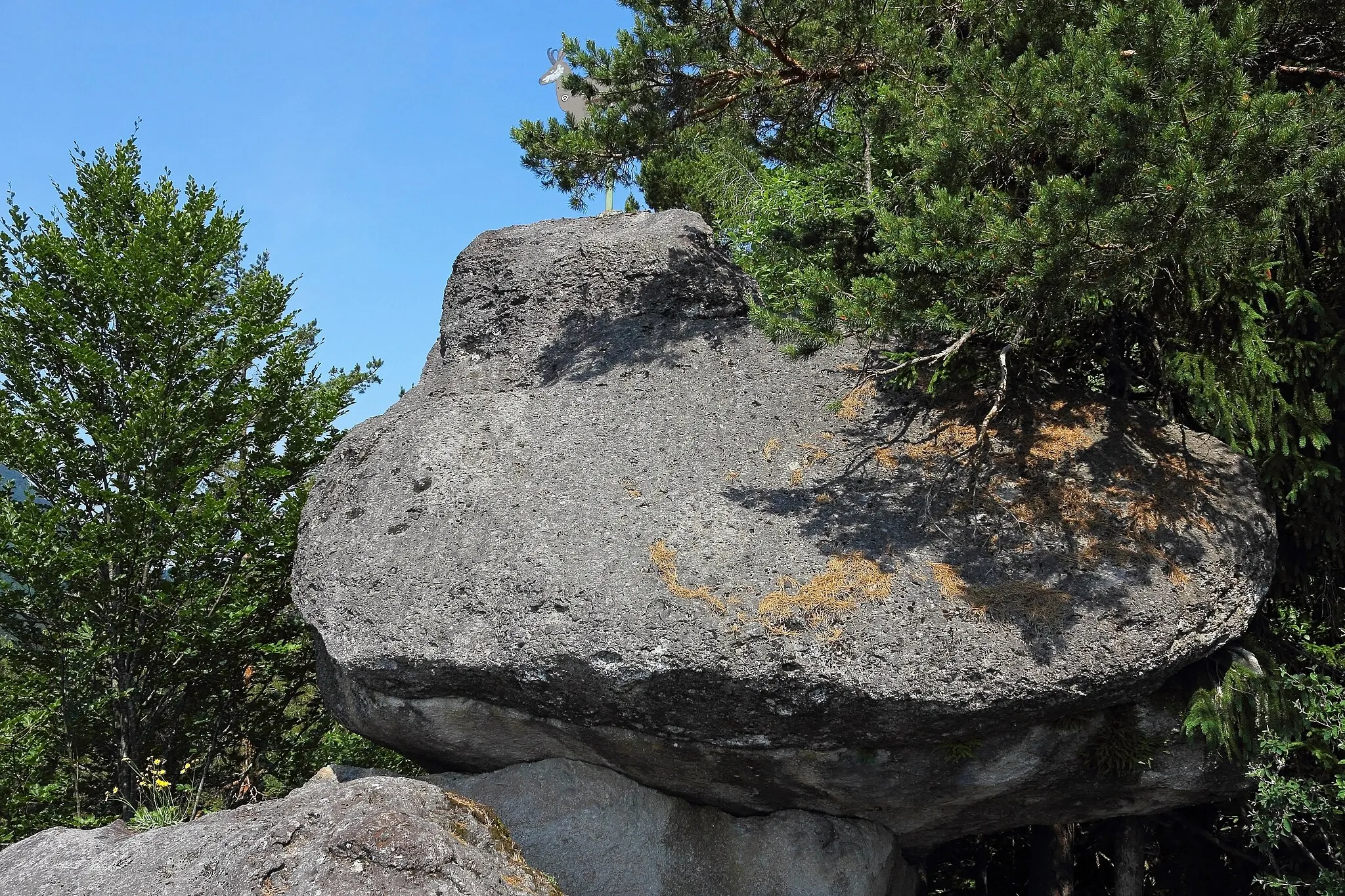 Photo showing: This media shows the natural monument in Lower Austria  with the ID LF-061.