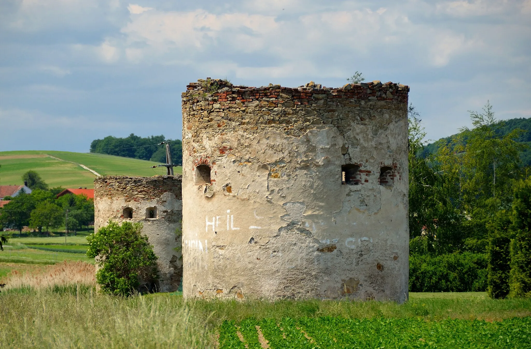 Photo showing: The ruins of castle Raipoltenbach, municipality of Neulengbach, Lower Austria, is protected as a cultural heritage monument.