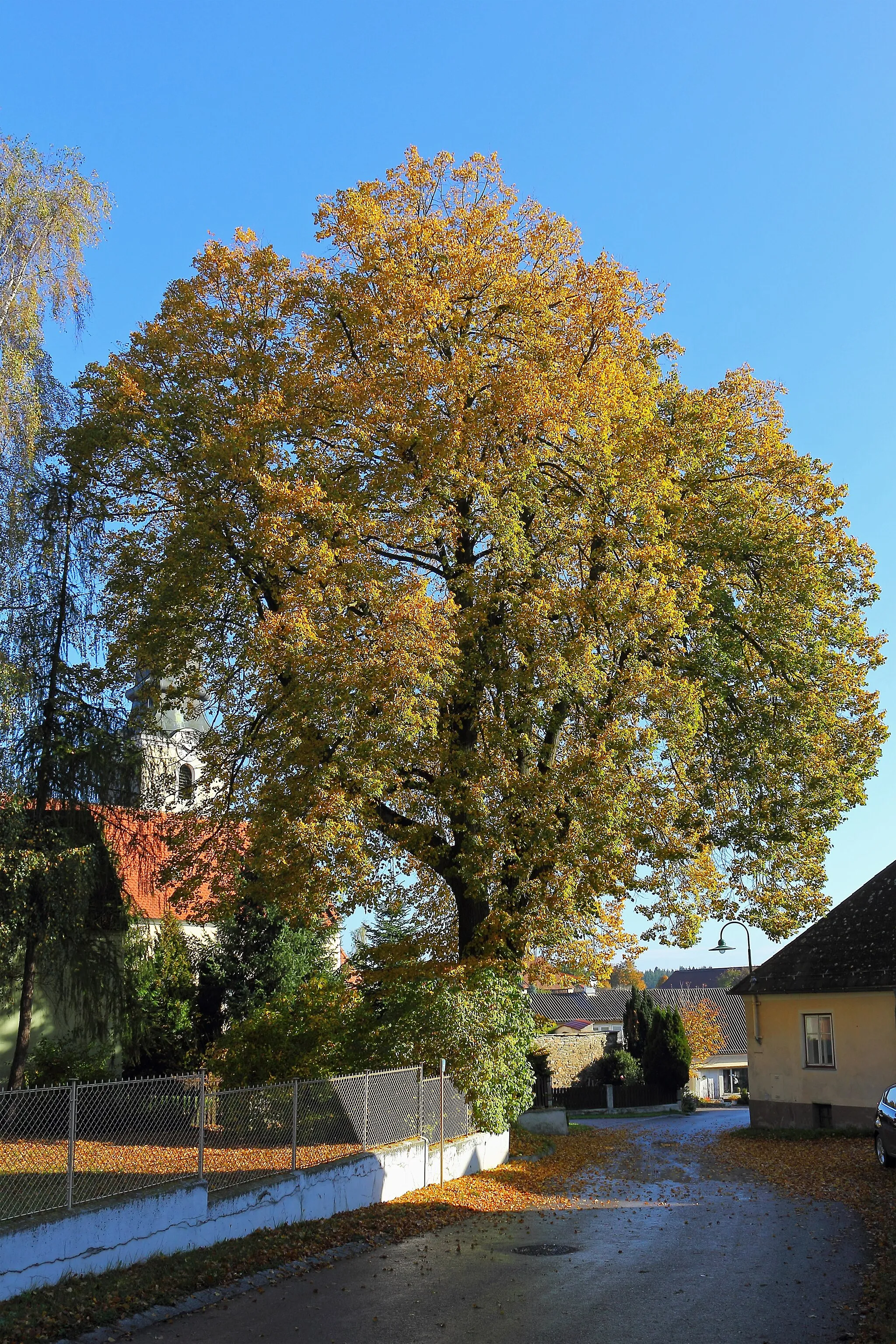 Photo showing: This media shows the natural monument in Lower Austria  with the ID HO-091.