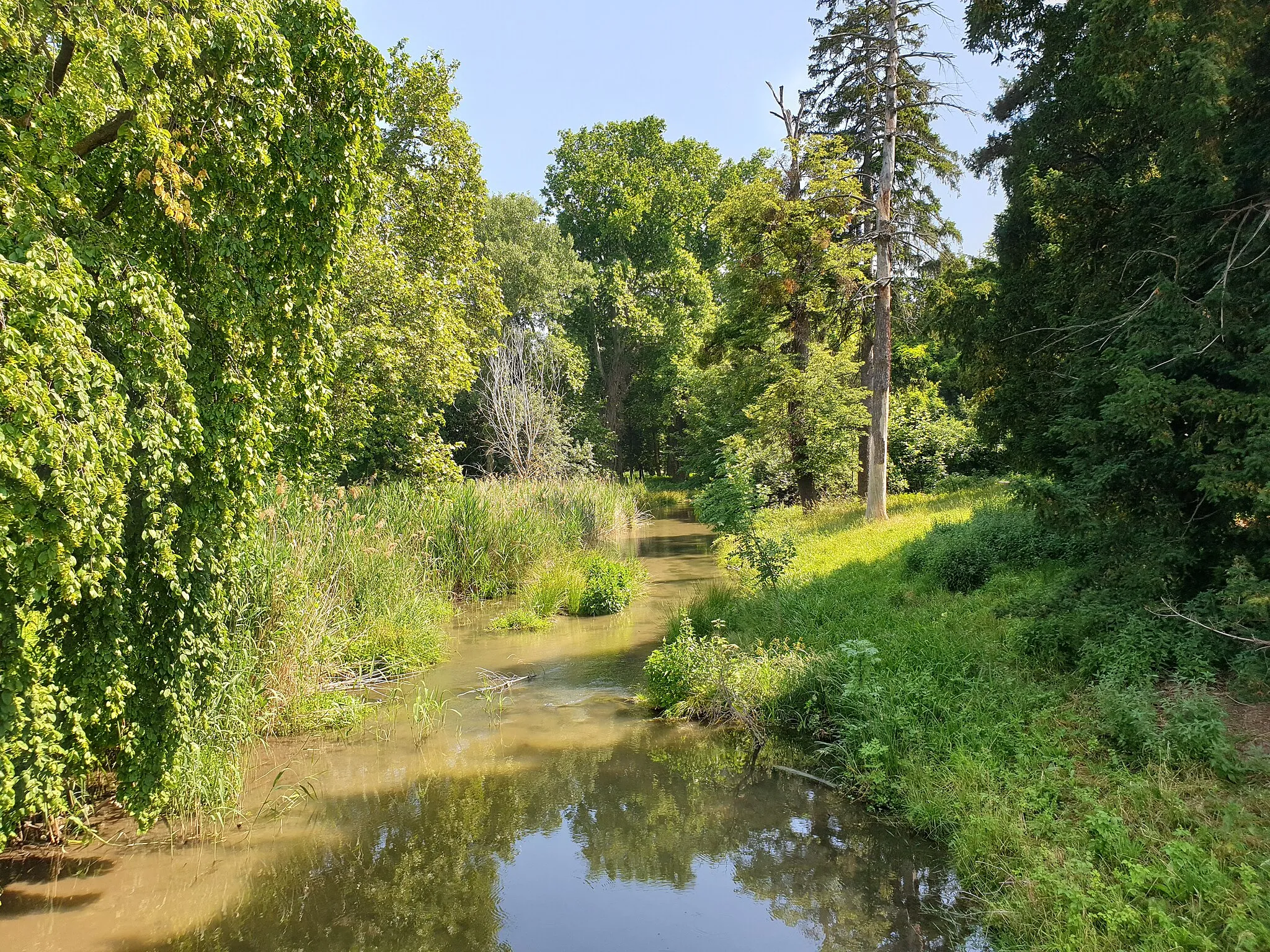 Photo showing: Park  ("Harrachpark") of "Harrach"-Castle ("Schloss Harrach") in the Austrian city of "Bruck an der Leitha. The picture is taken on a little historic bridge and shows the part of the park's river system   ( which is supplied ,with fresh water from the river "Leitha") just s few meters beyond the former "harbour" of the castle.