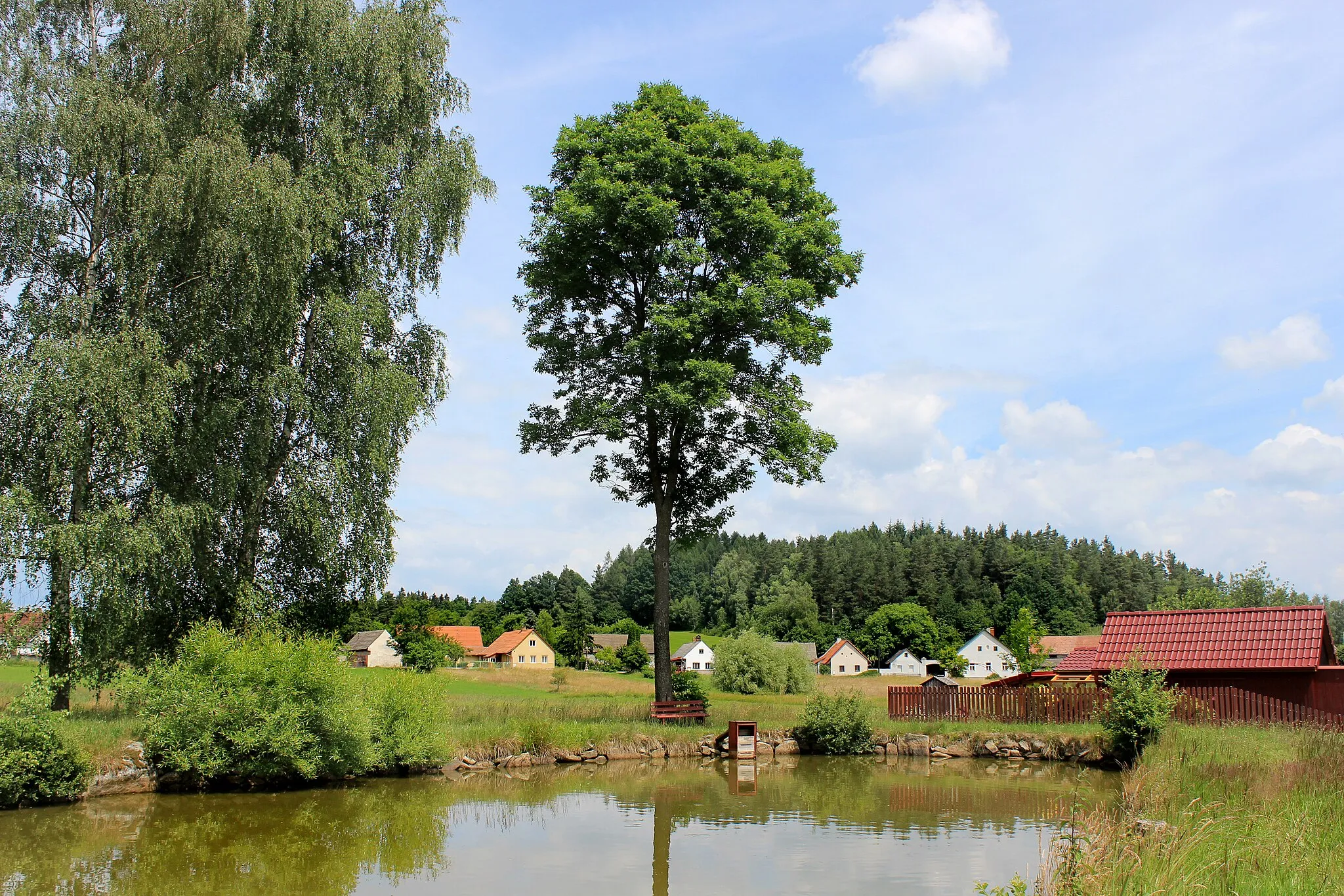 Photo showing: Small pond in Nová Ves, part of Číměř, Czech Republic.