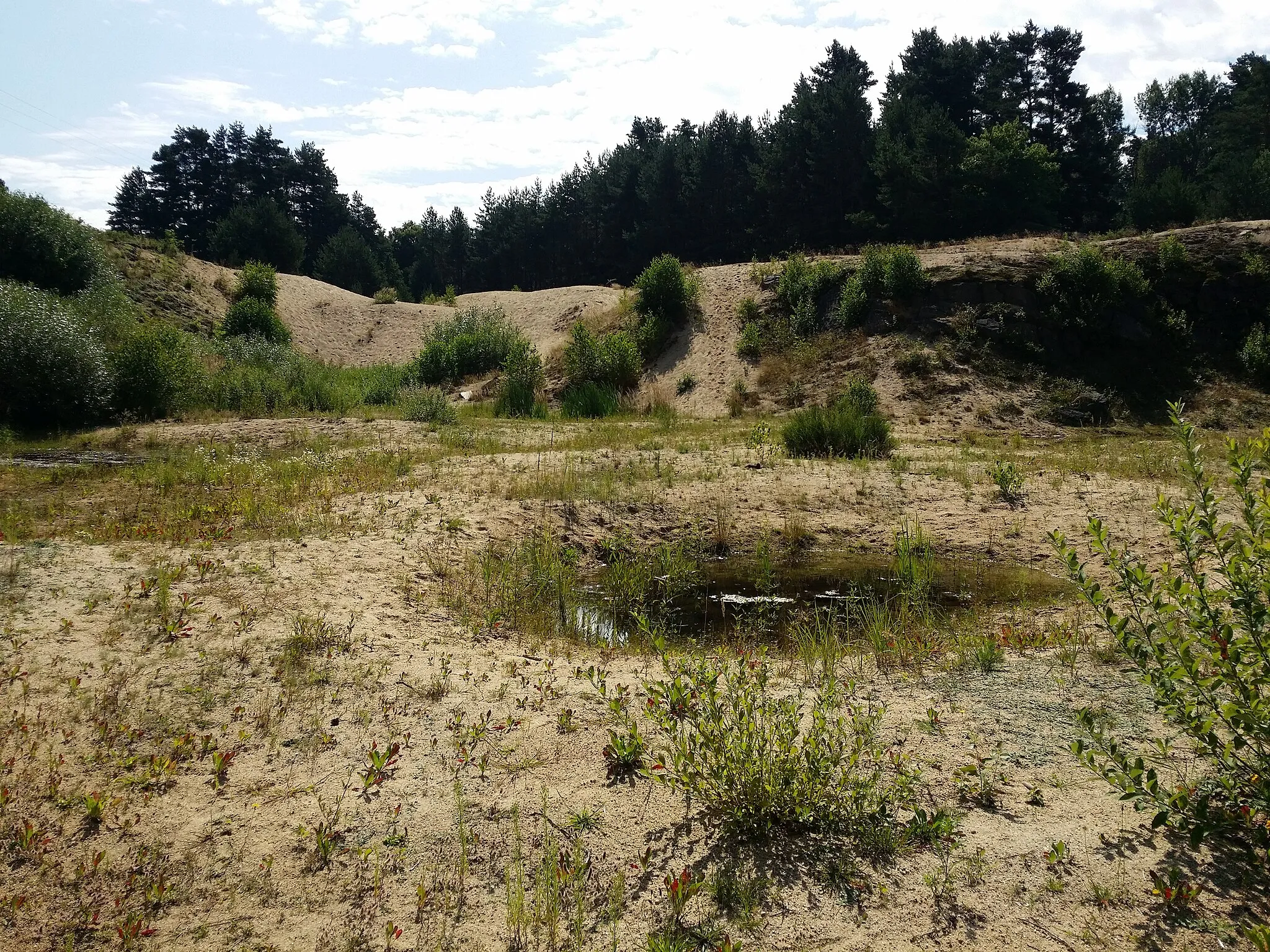 Photo showing: Abandoned sand pit near Františkov (conservation culture), Jihočeský kraj, Czech Republic - ca. 460 m a.s.l.