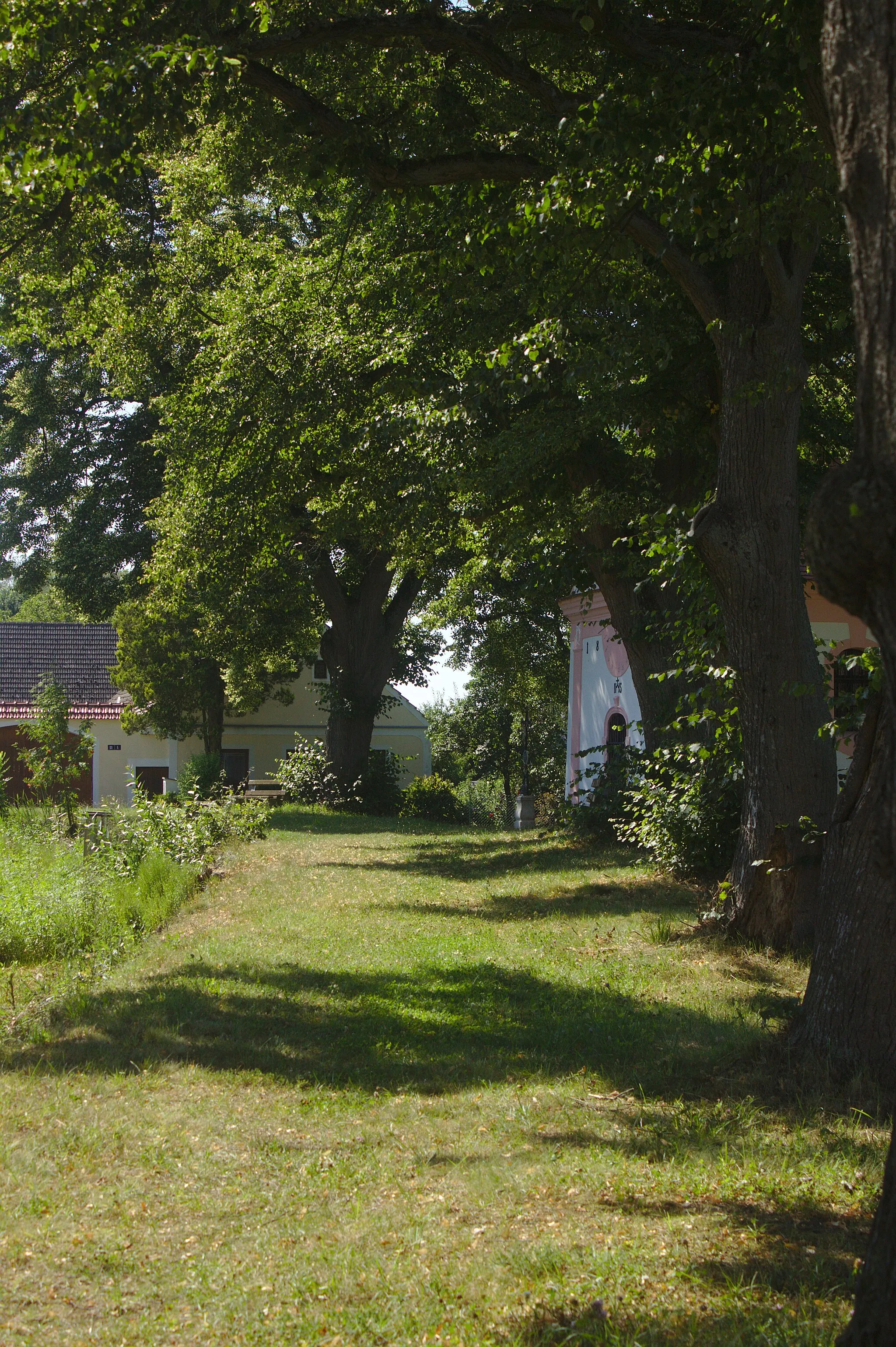 Photo showing: Hráz rybníka ve vesnici Pístina, Jihočeský kraj