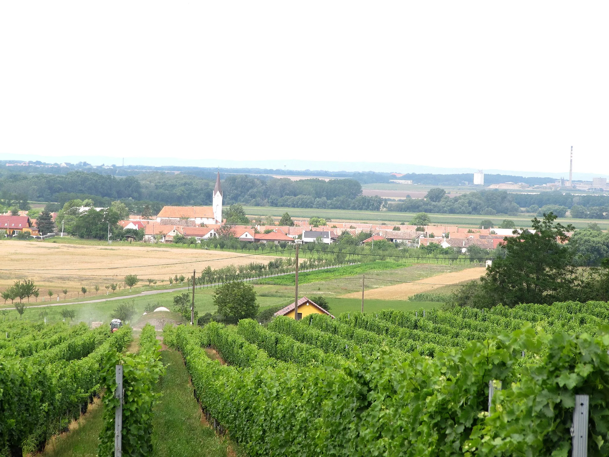 Photo showing: Nový Přerov in Břeclav District, Czech Republic. General view.