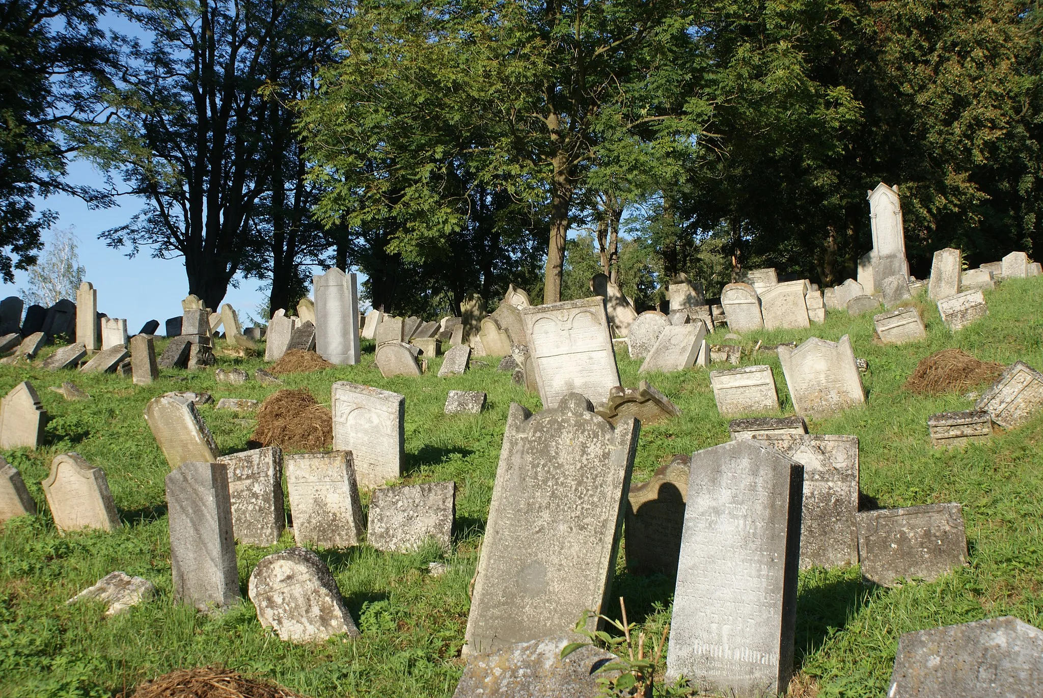 Photo showing: Šafov, a village in Znojmo District, Czech Rep., Jewish cemetery